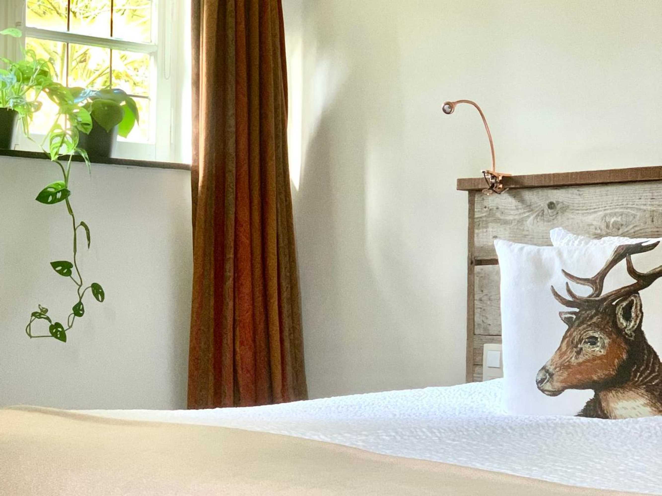 Gift card for Vakantiewoning Guesthouse Momo