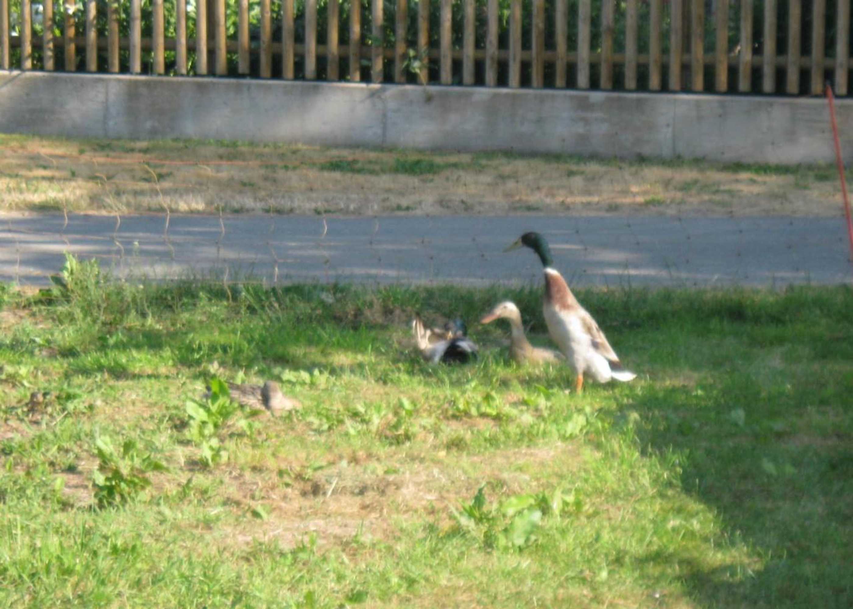 Gift card for Haus Stierstall