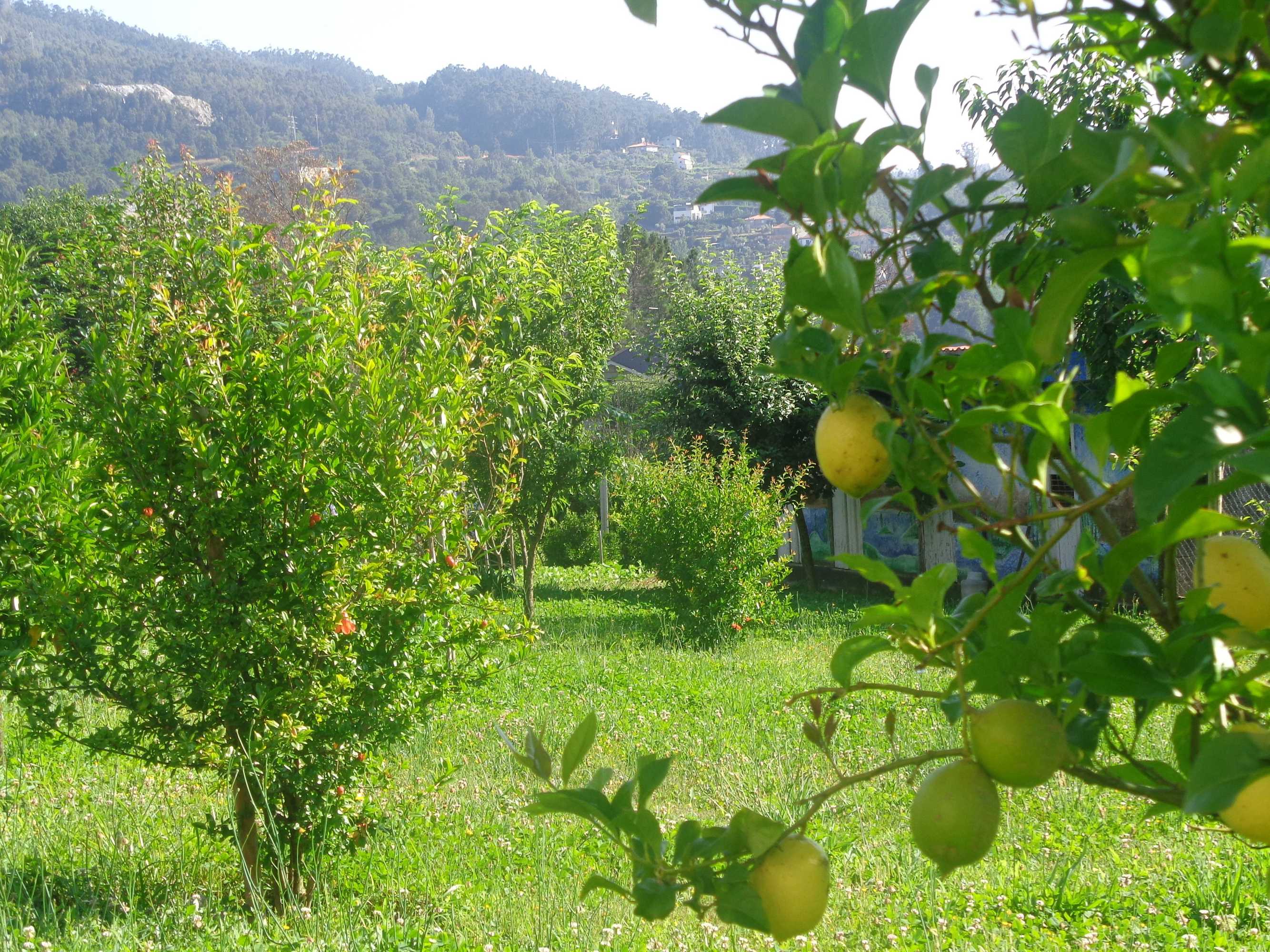 Gift card for Bernardes House