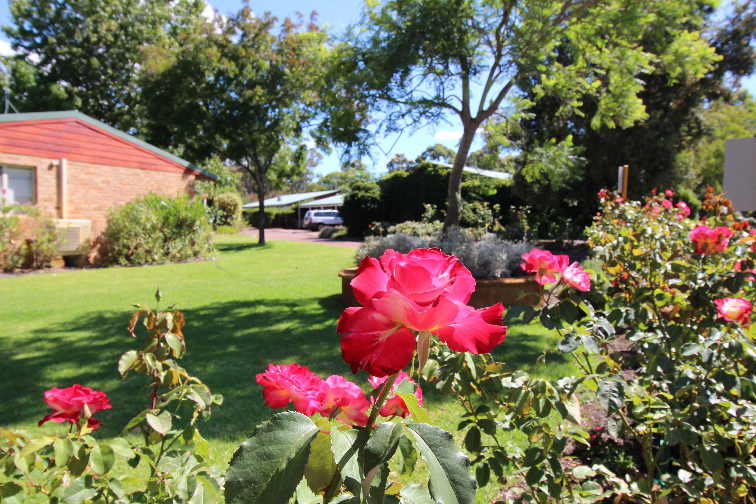 Gift card for Margaret River Tourist Park Gift card for Margaret River Tourist Park