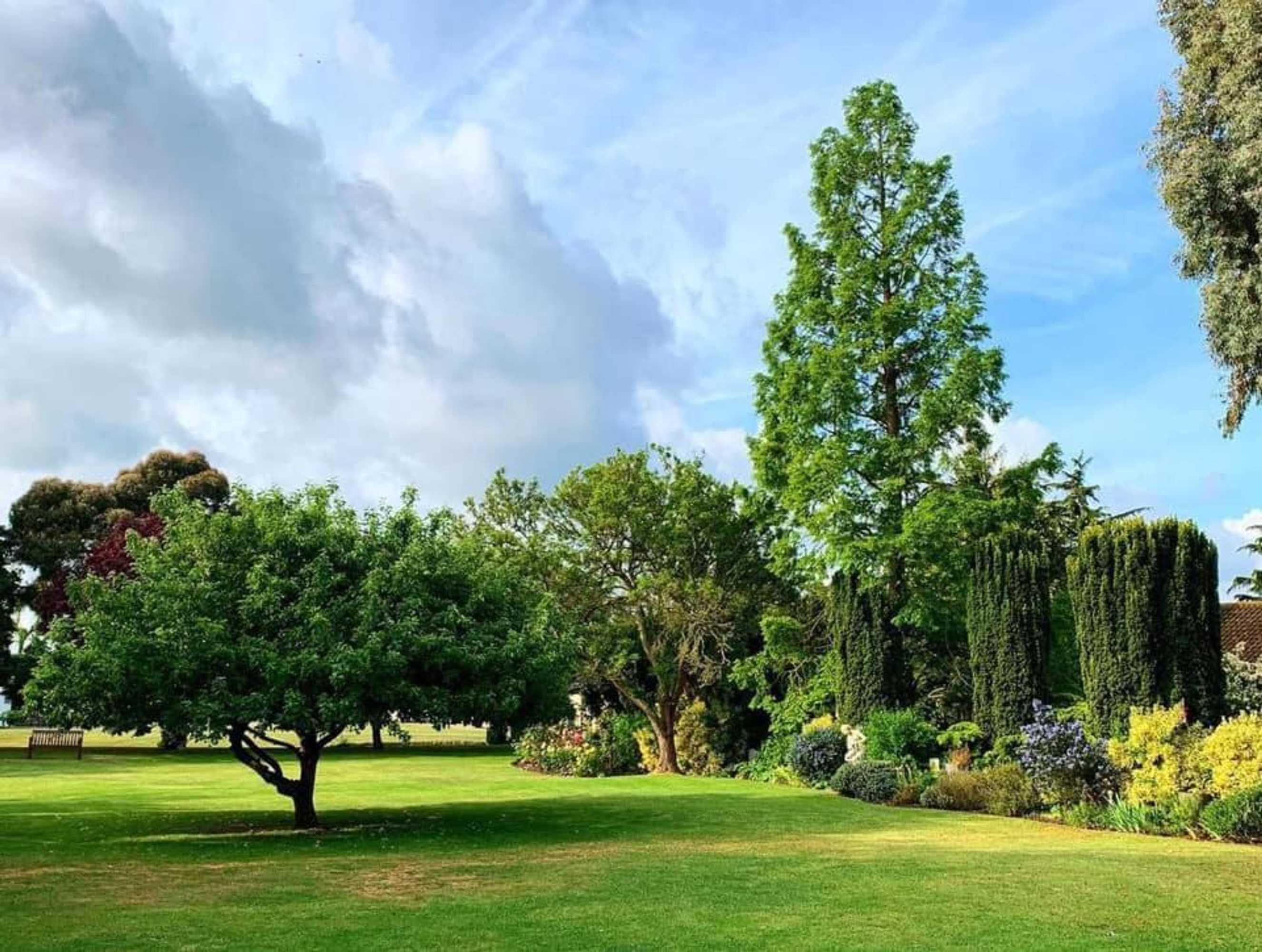 Gift card for Ye Olde Plough House