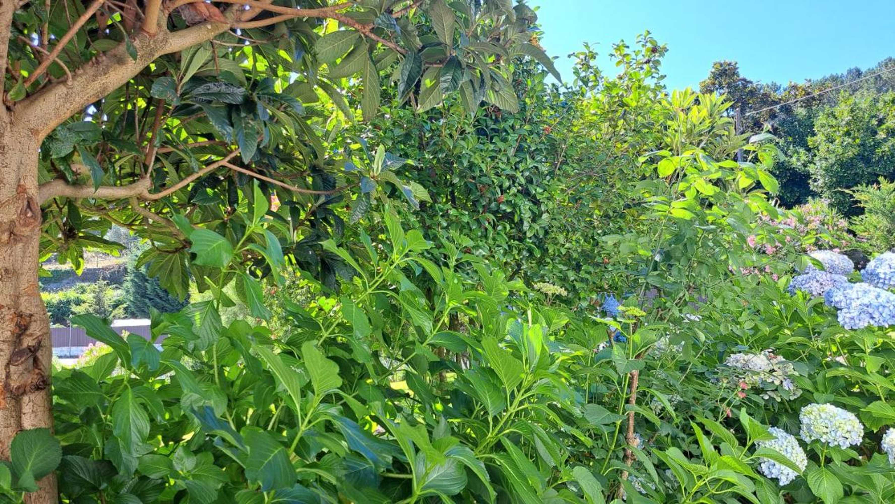 Gift card for Casa Pinho