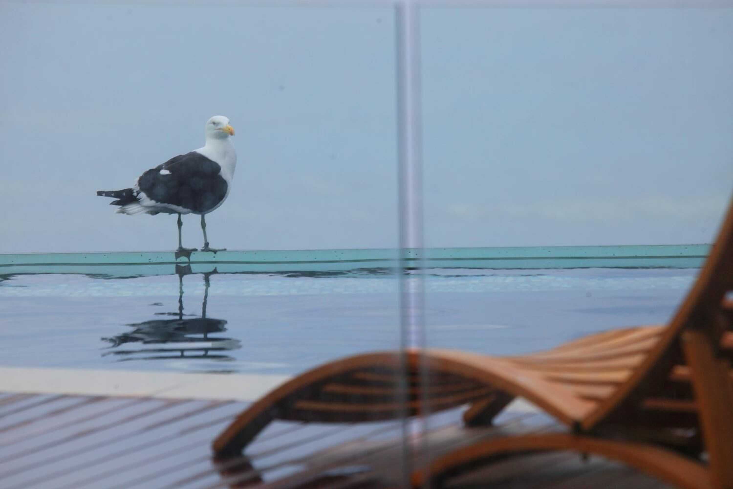 Gift card for Periwinkle Guest Lodge