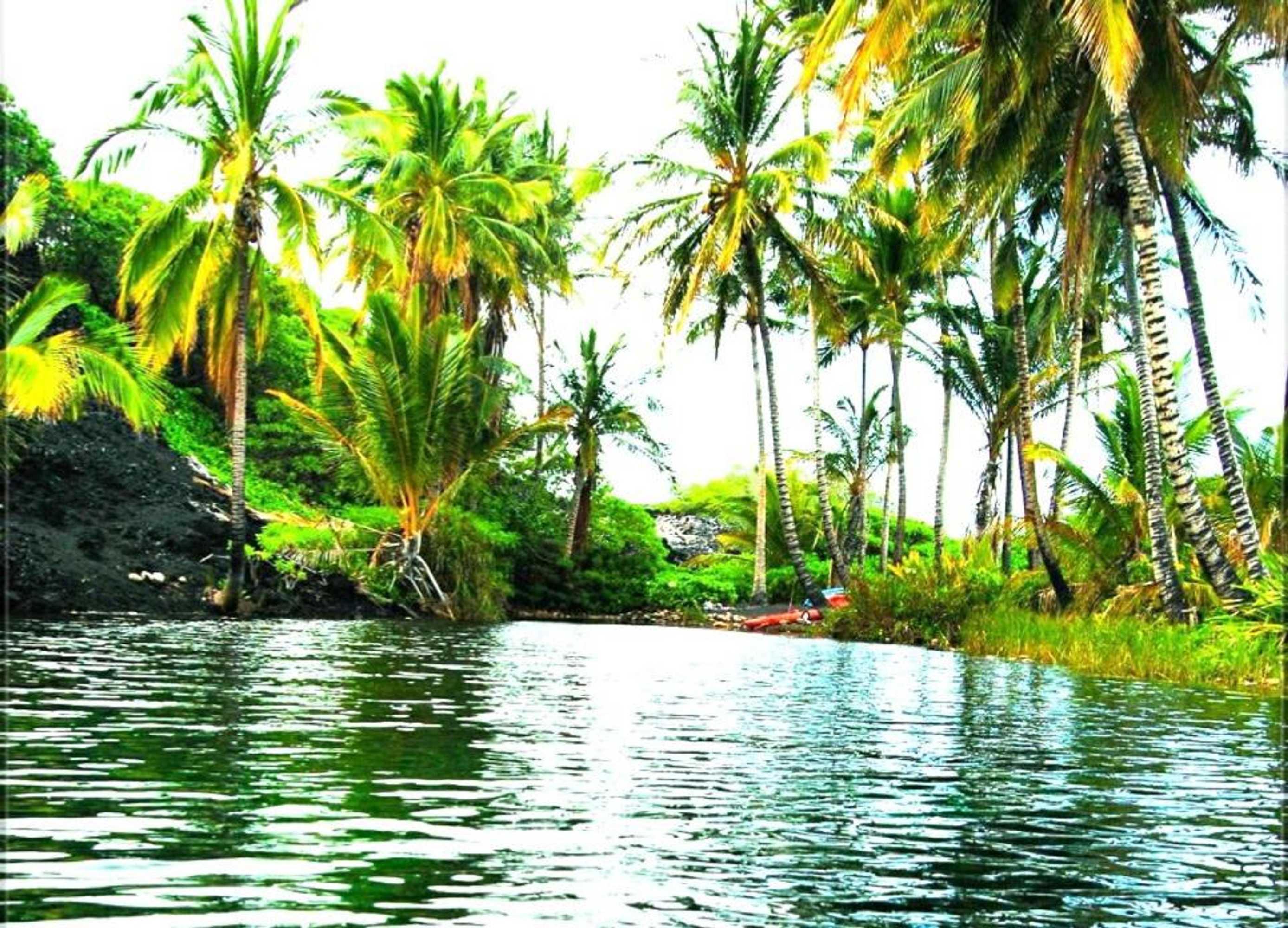 Gift card for Omah Ndeso Argopeni