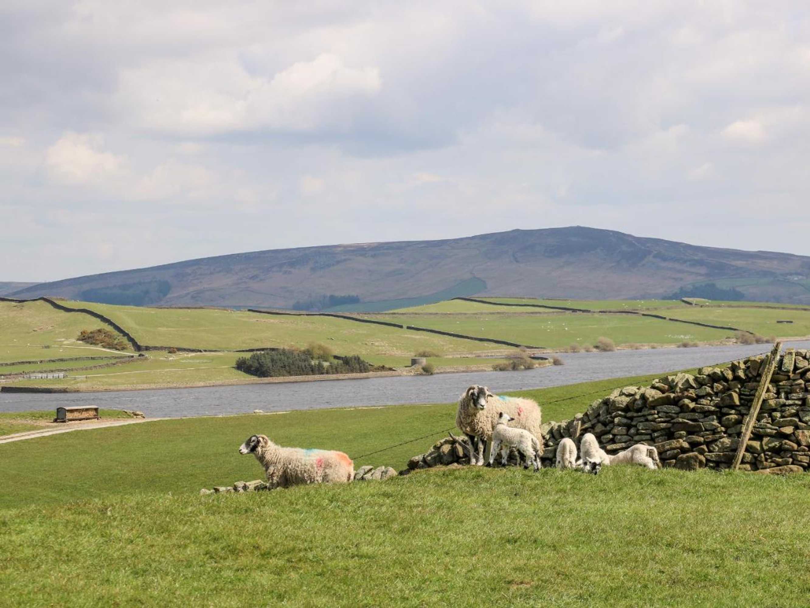 Gift card for Ermysteds Cottage