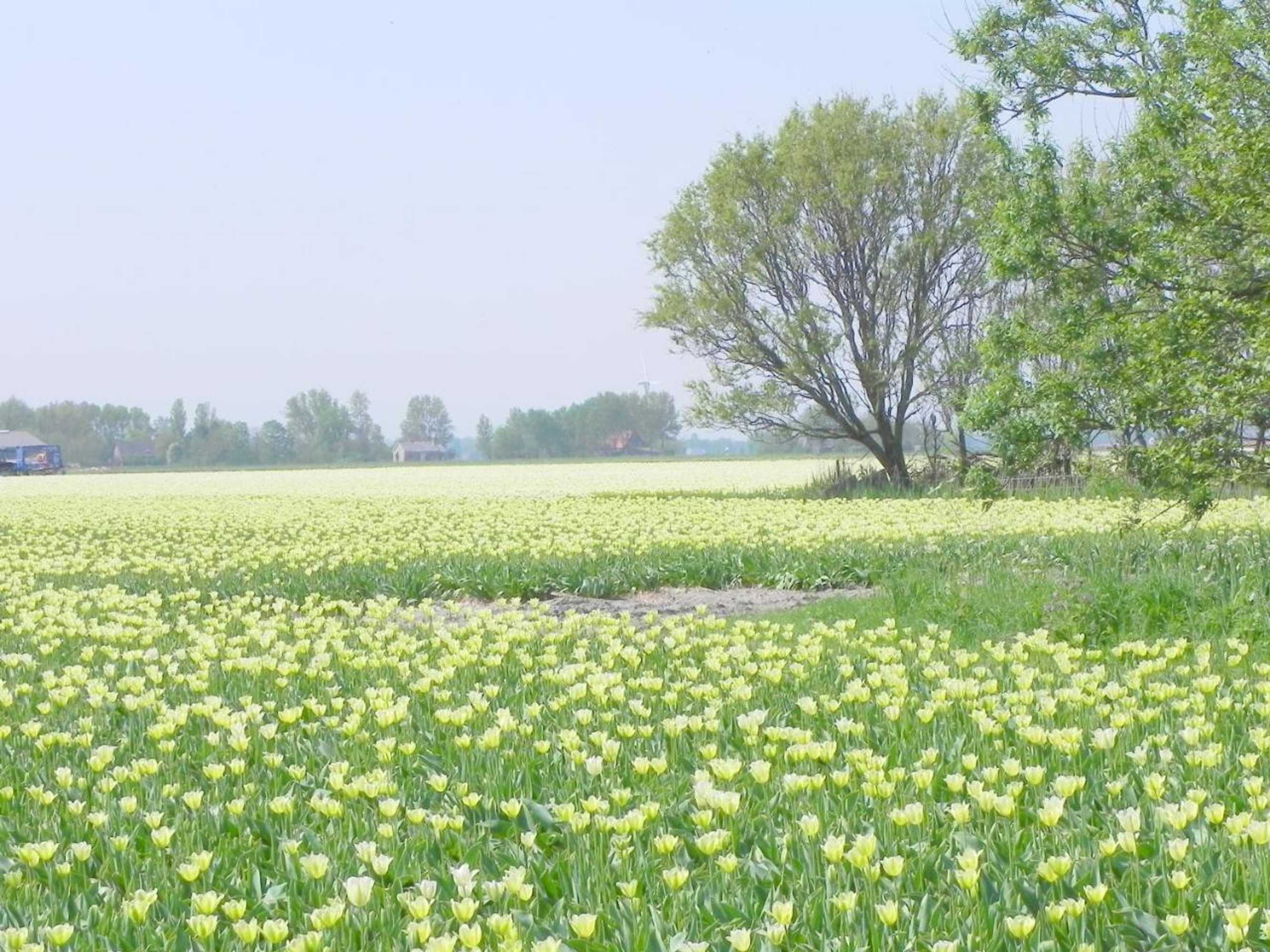 Gift card for Appels en Peren Bed And Breakfast