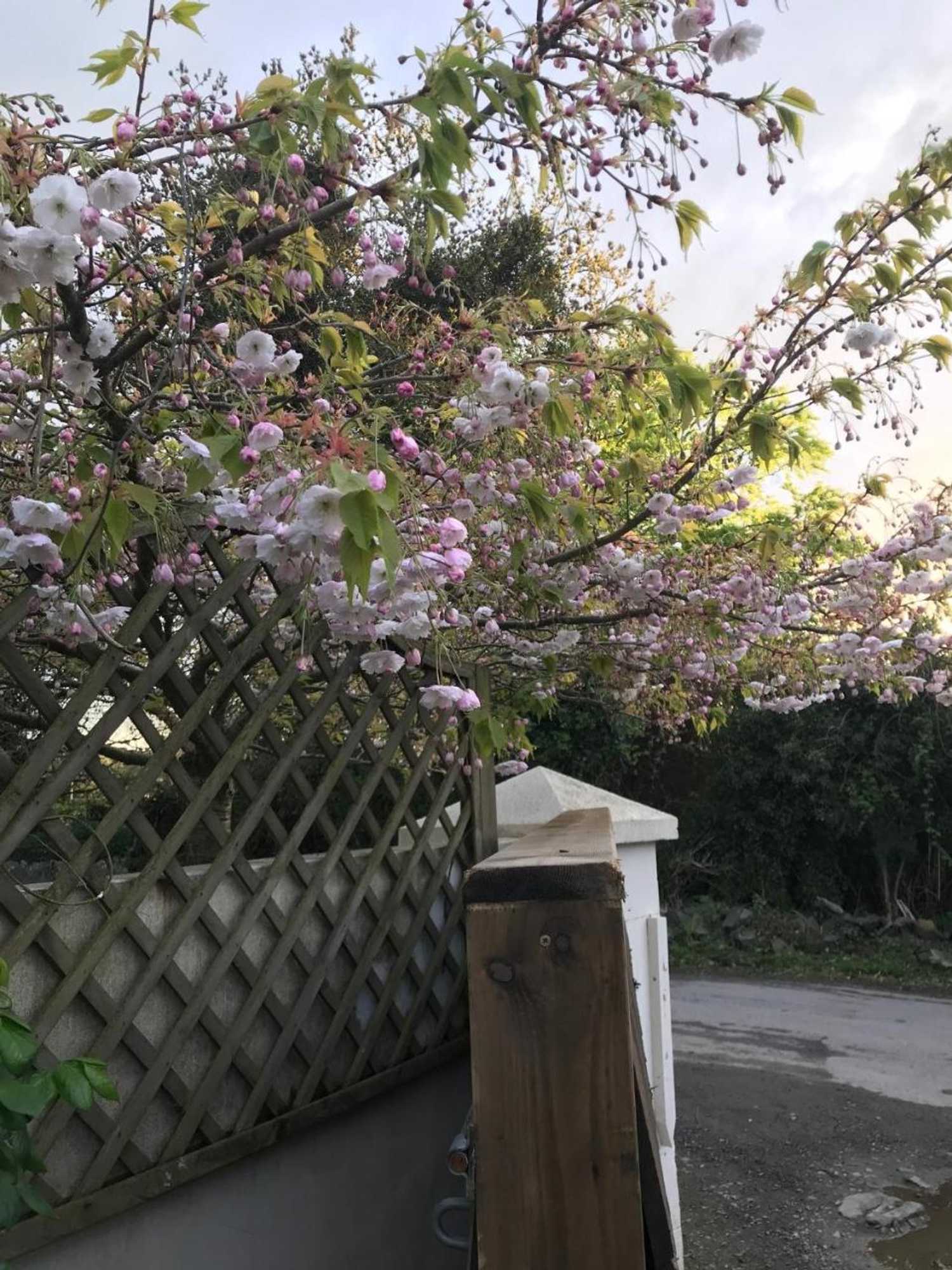 Gift card for Horseshoe Cottage