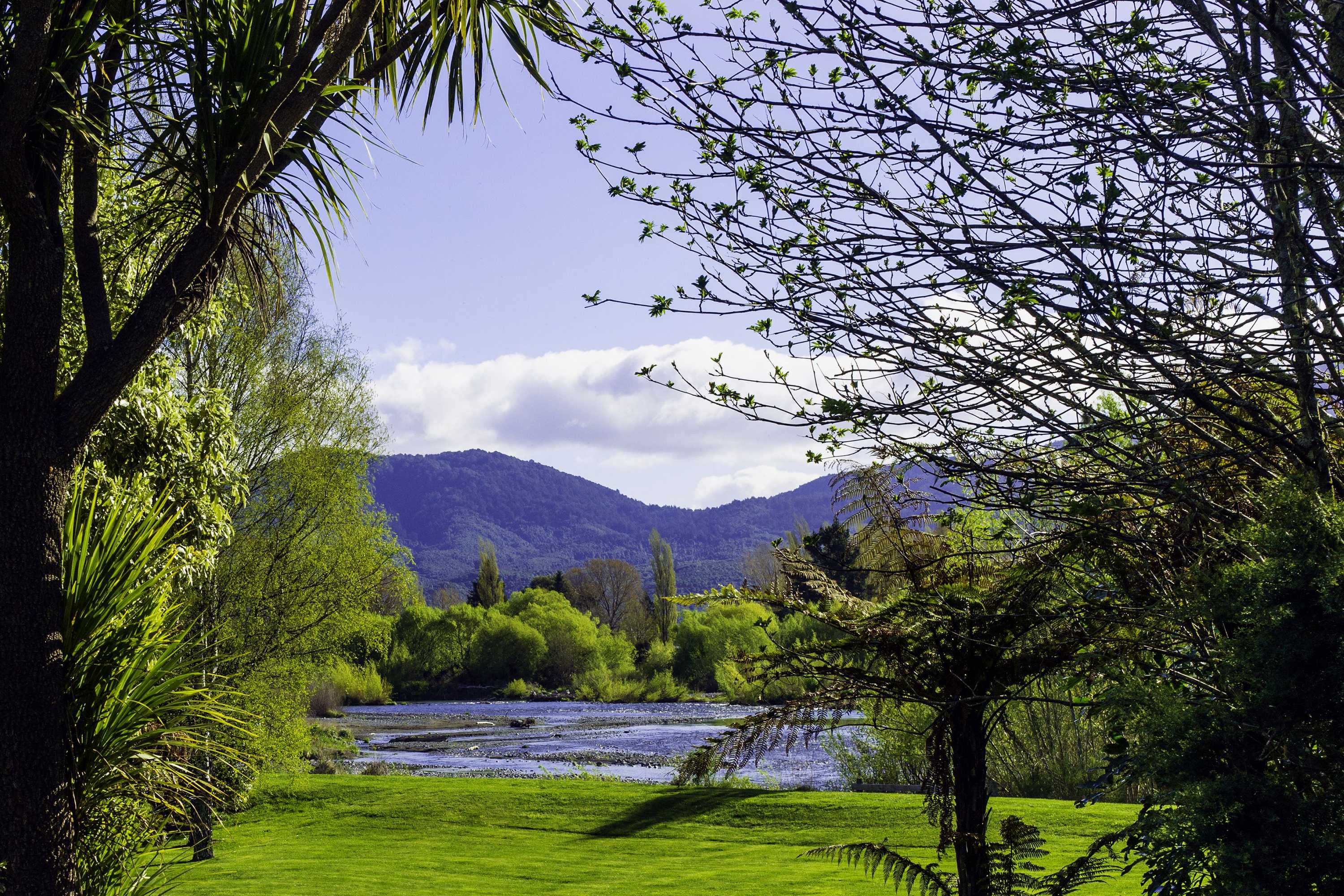 Gift card for Tongariro Lodge Gift card for Tongariro Lodge