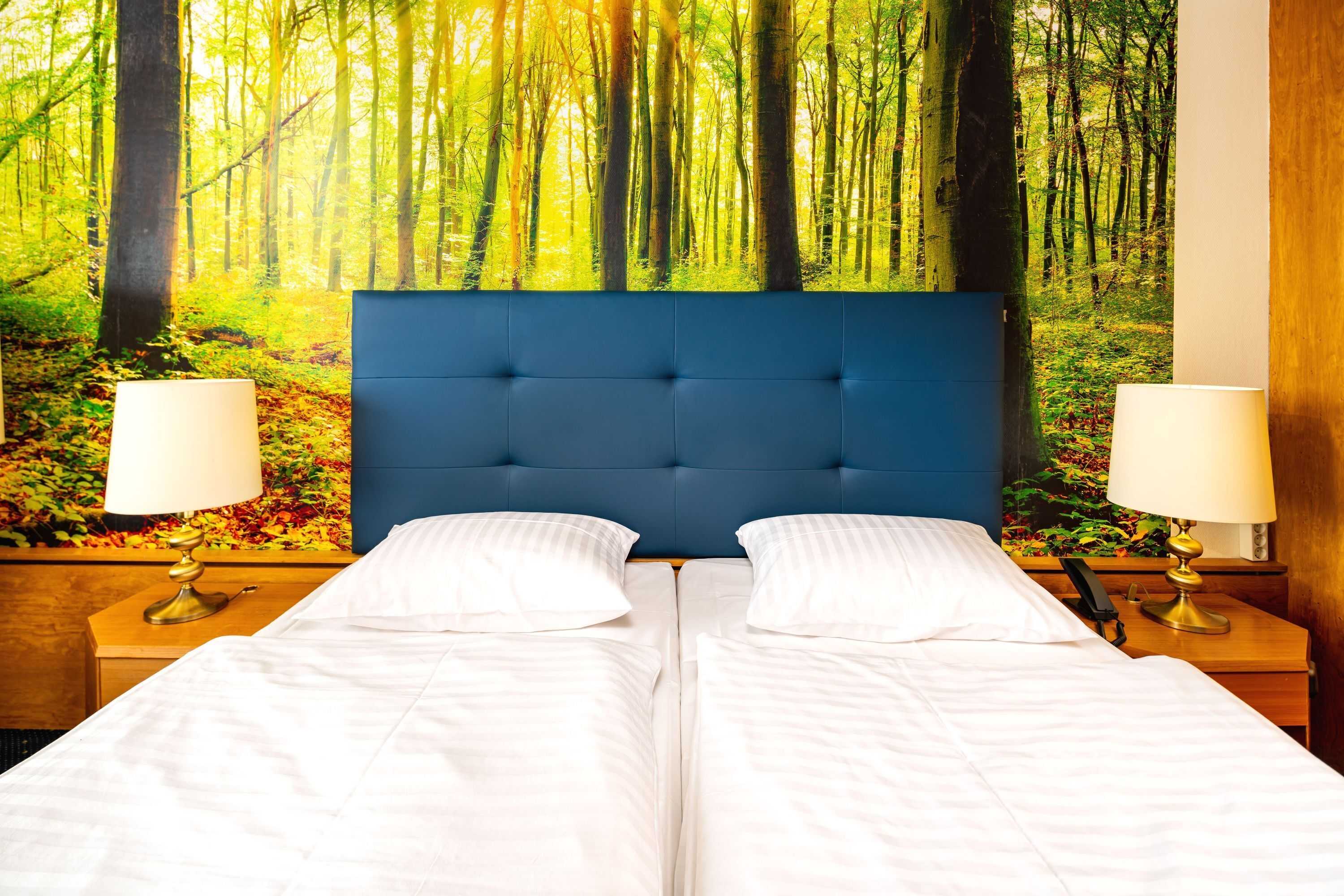 Gift card for Ahorn Harz Hotel Braunlage Gift card for Ahorn Harz Hotel Braunlage