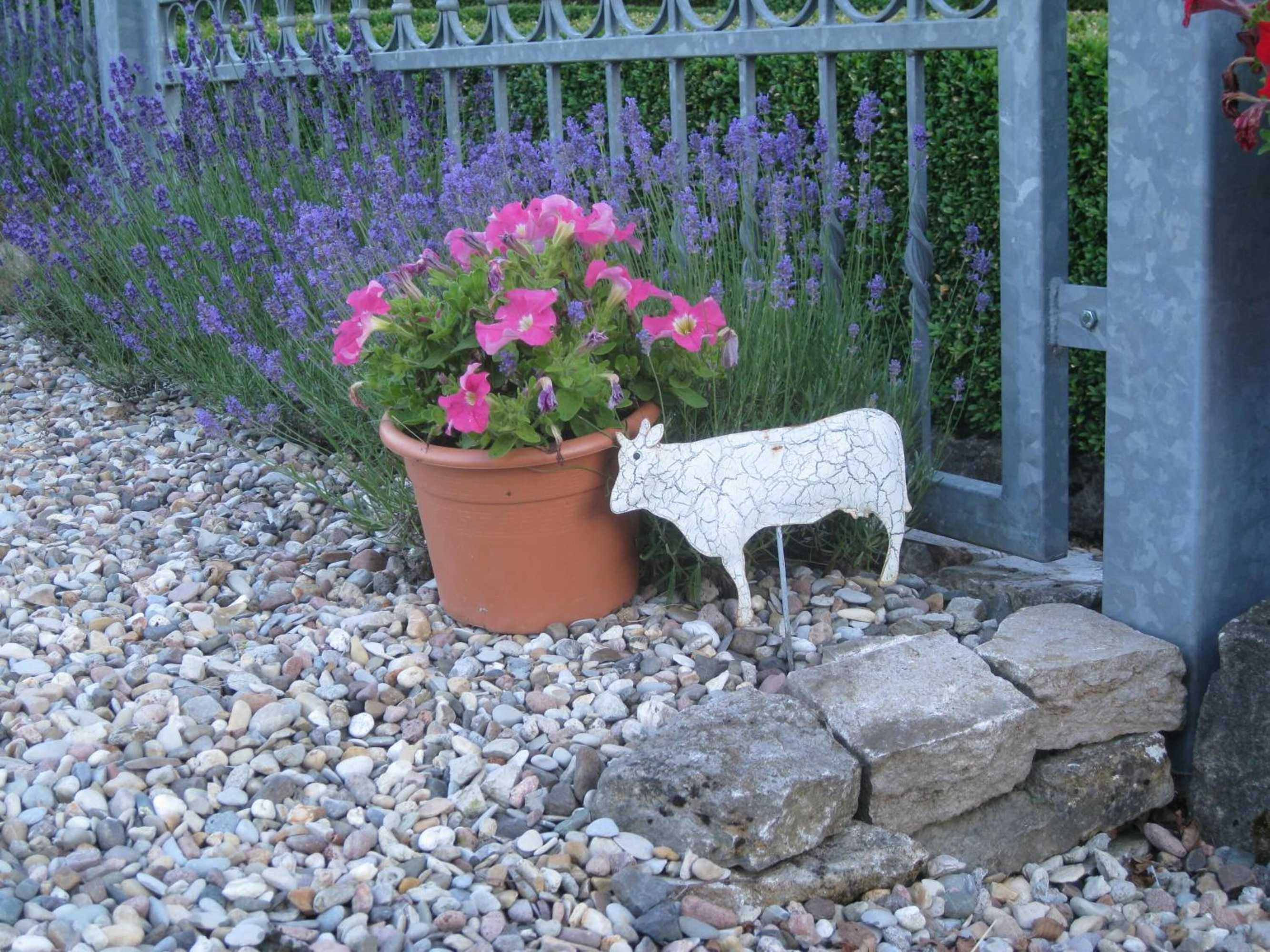 Gift card for Romantikmühle Heartlandranch