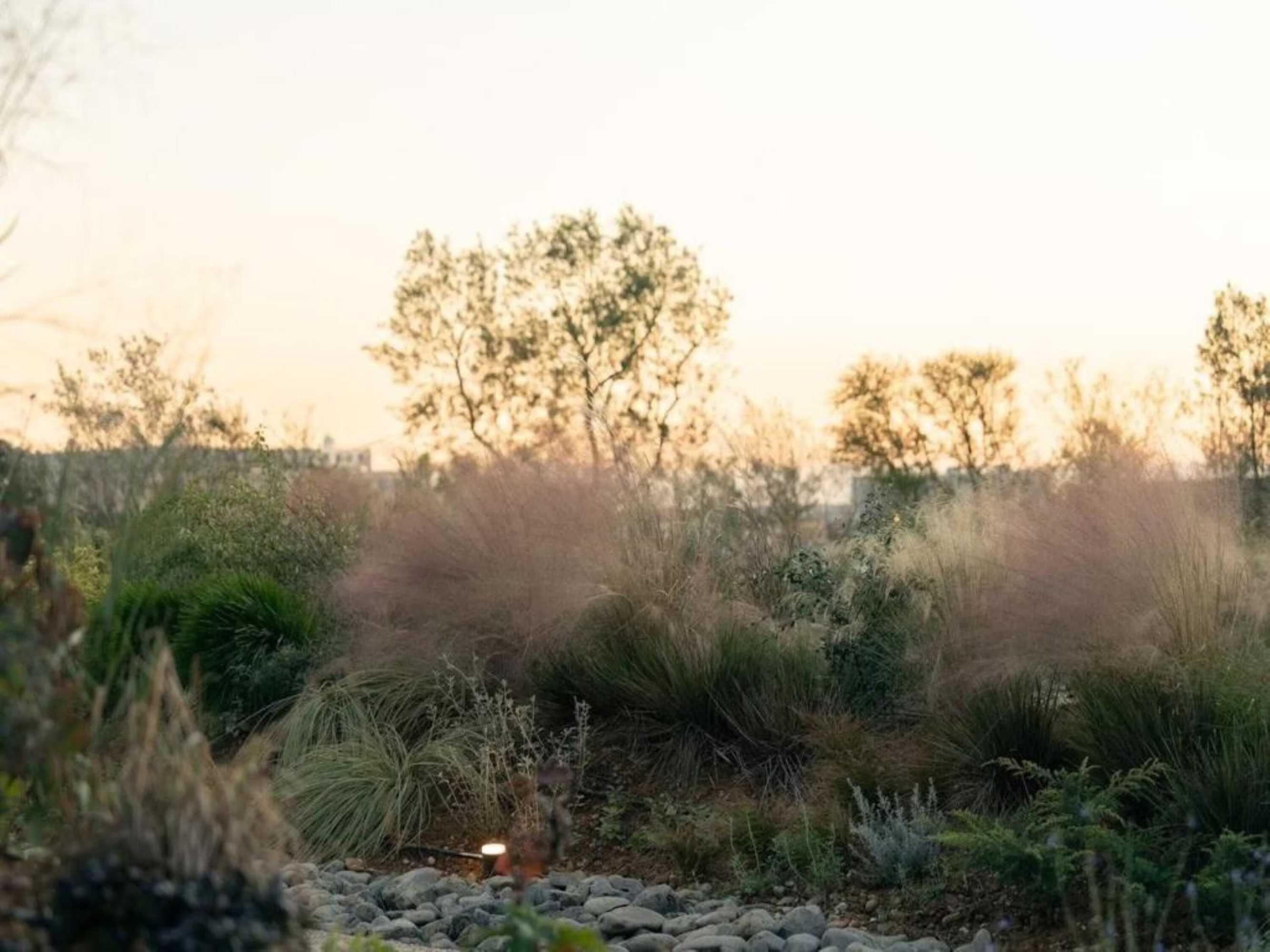 Gift card for Greenity Iwata