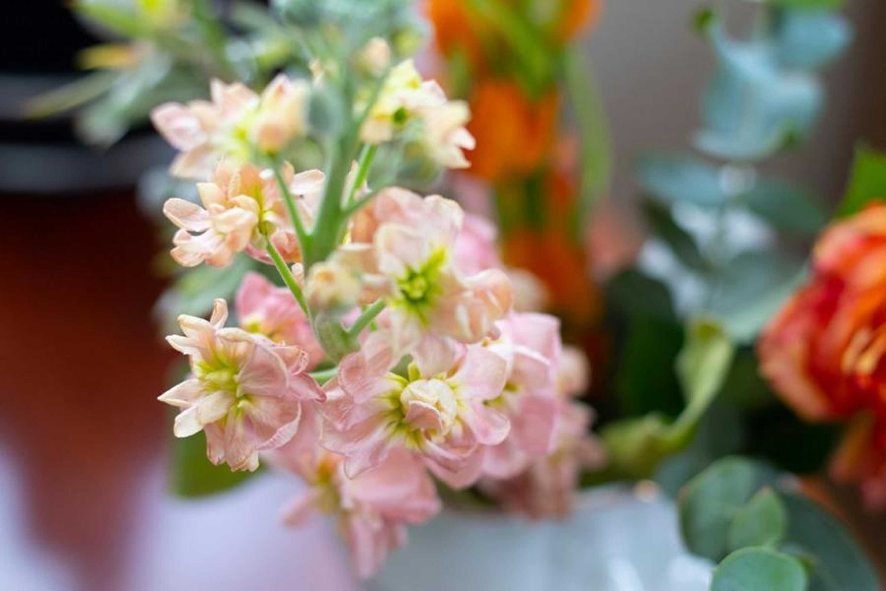 Gift card for Hotellerie Het Wapen Van Athlone