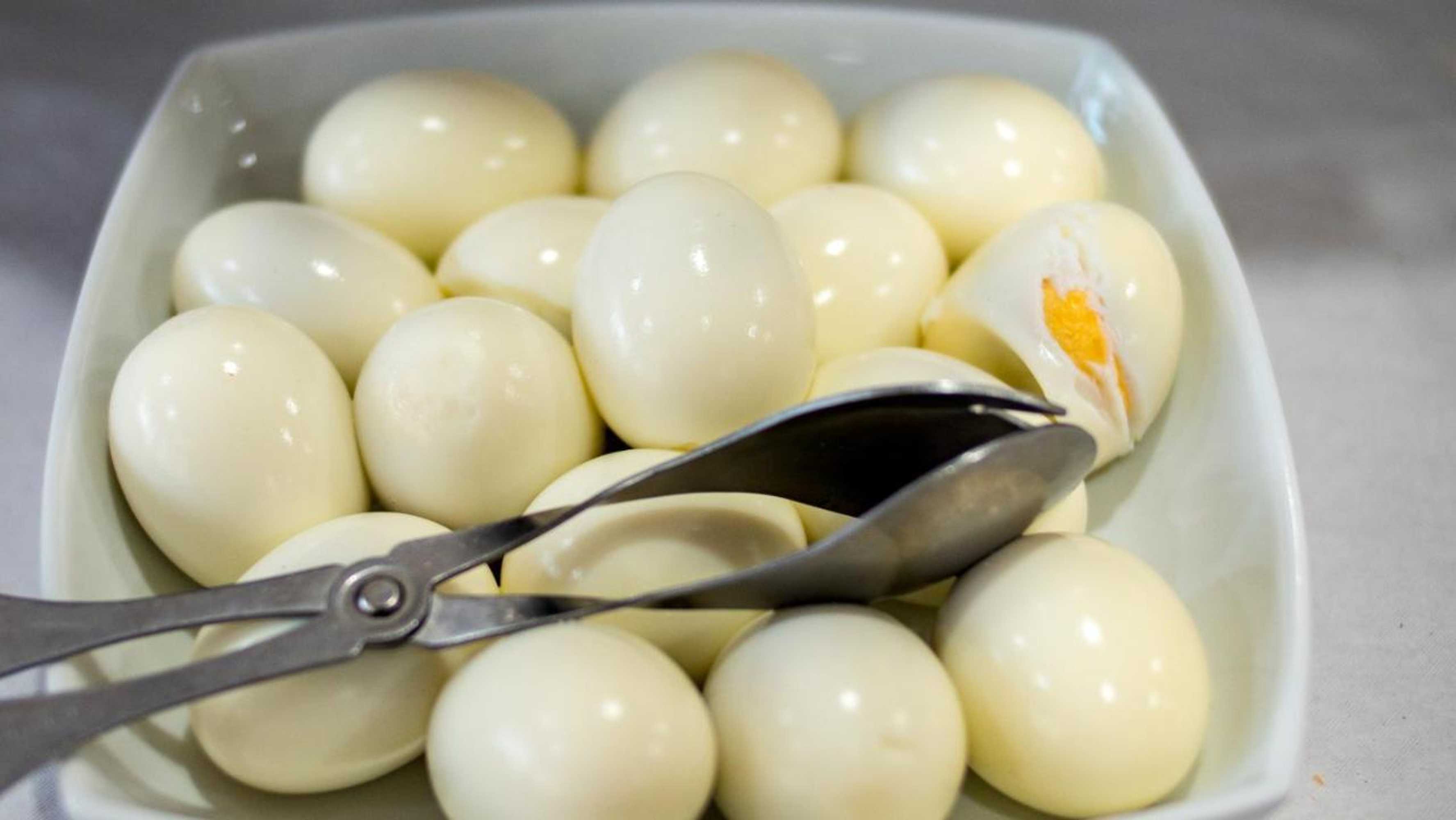 Gift card for Hotel Império do Norte