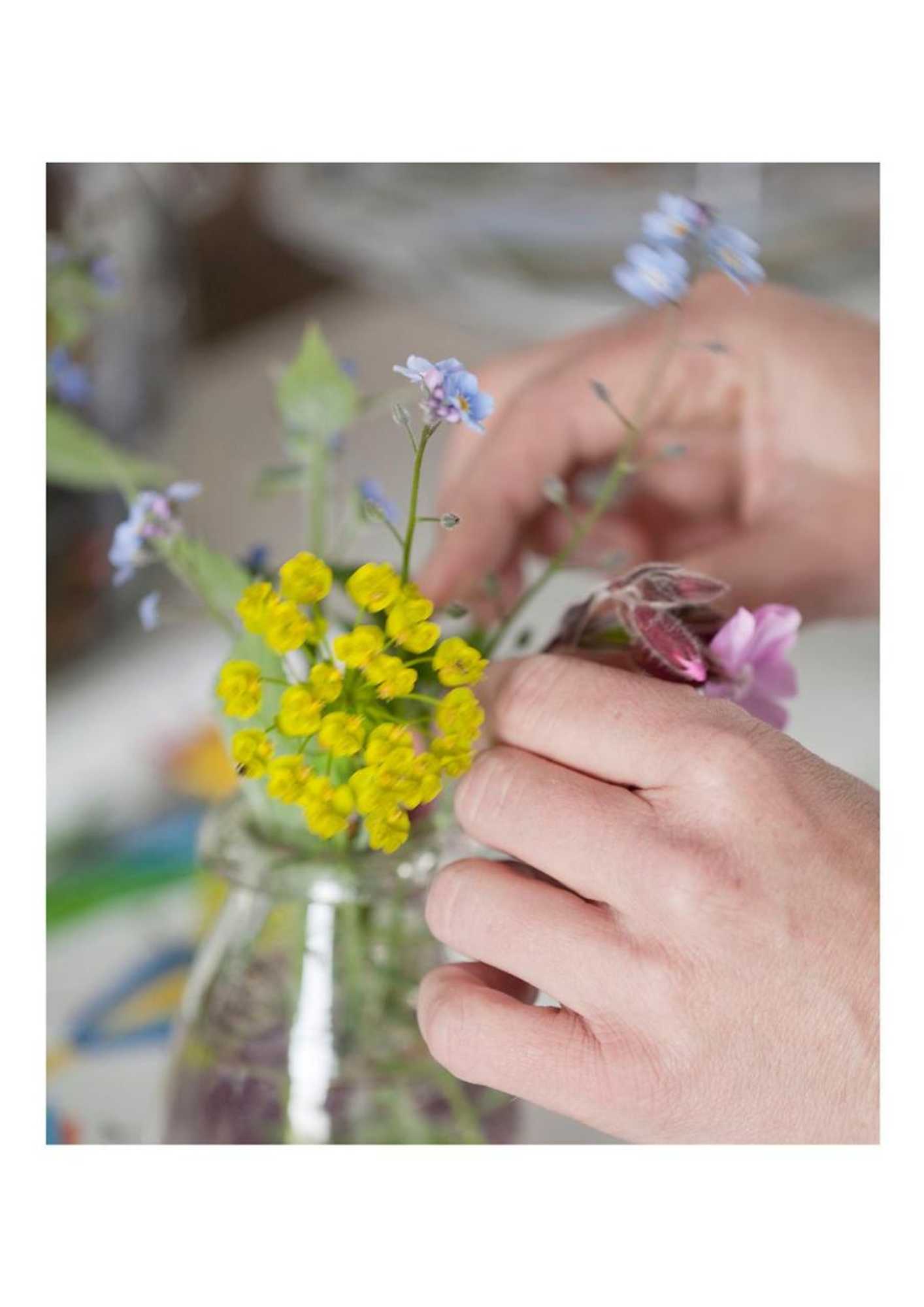 Gift card for Bed & Breakfast De Ruige Weide