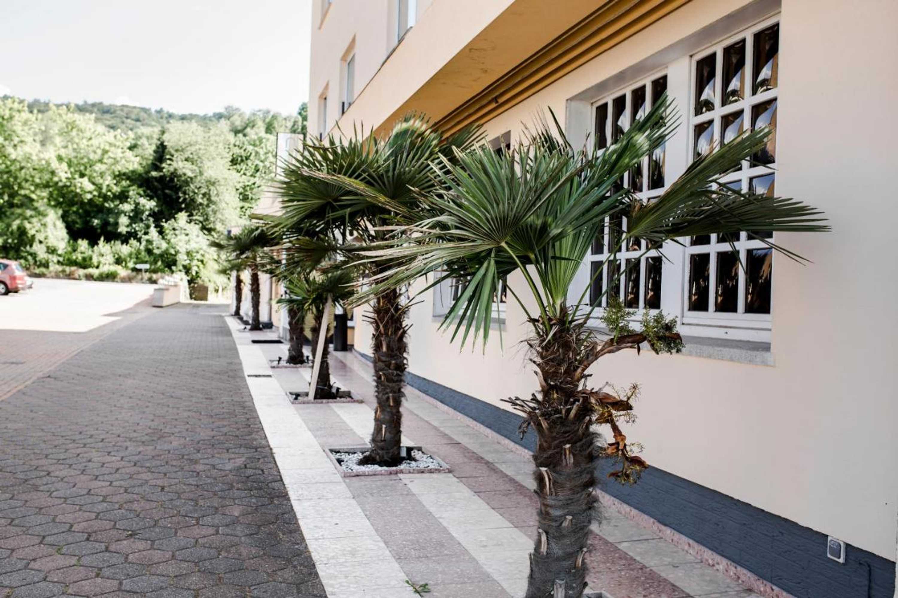 Gift card for Bach Hotel