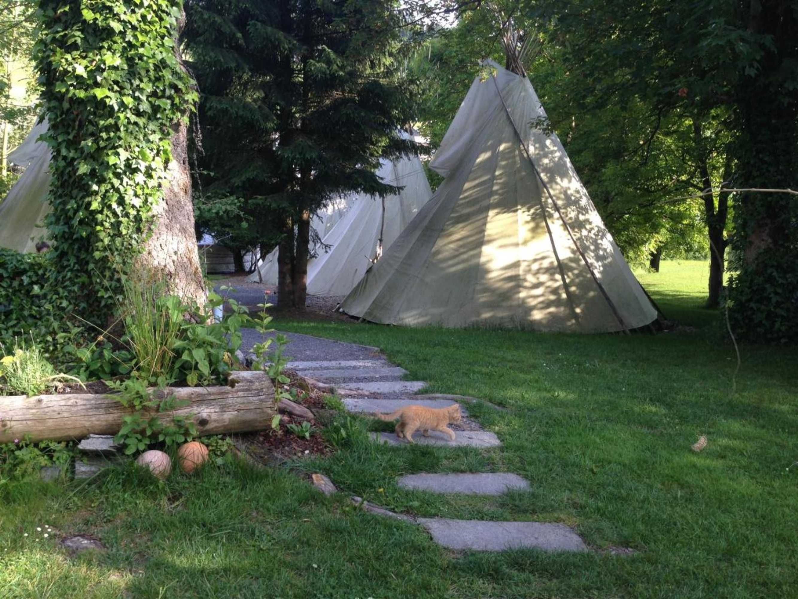 Gift card for Villa Donkey Bnb