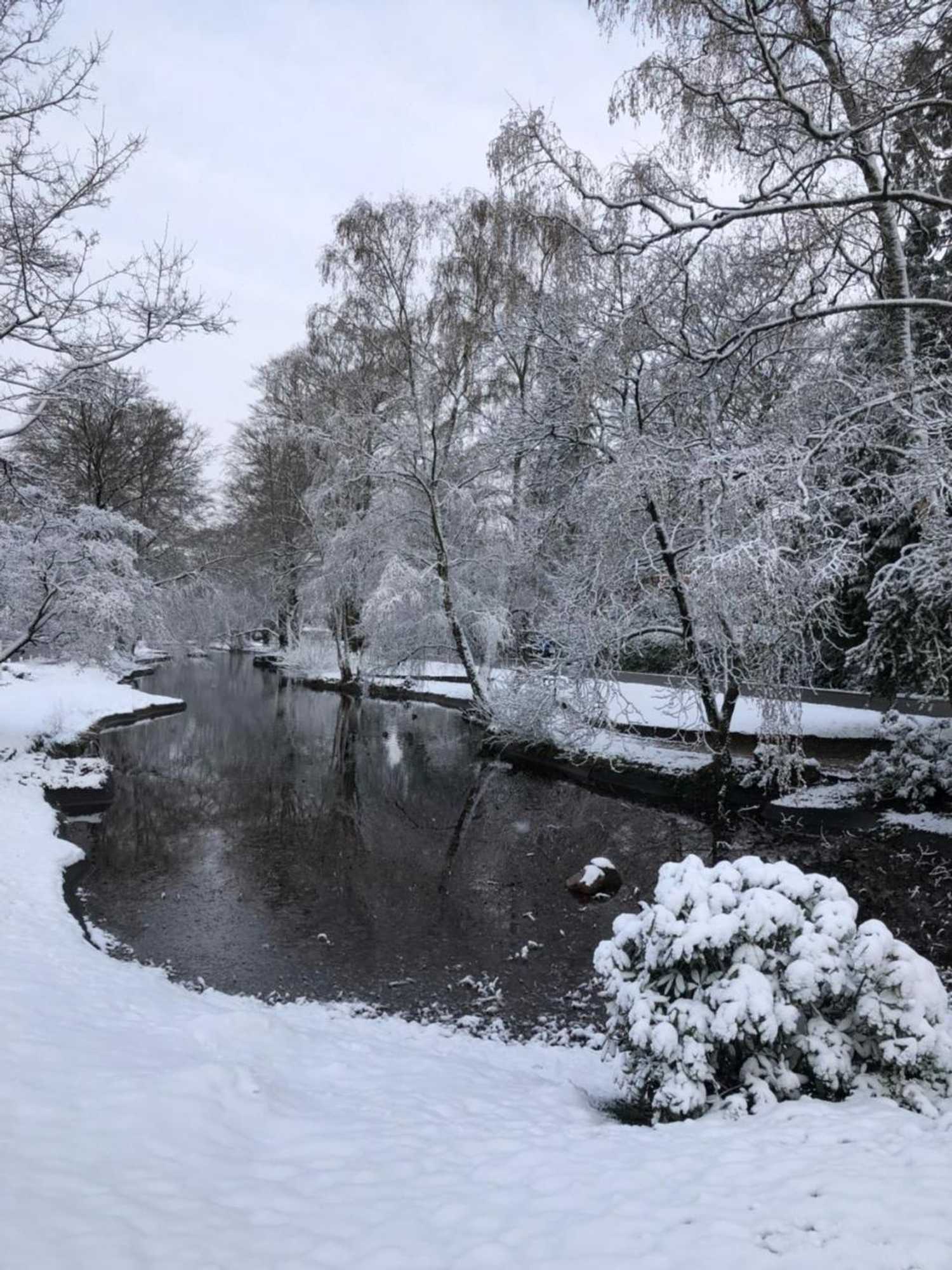 Gift card for Modern Palace B&b Emma Staete