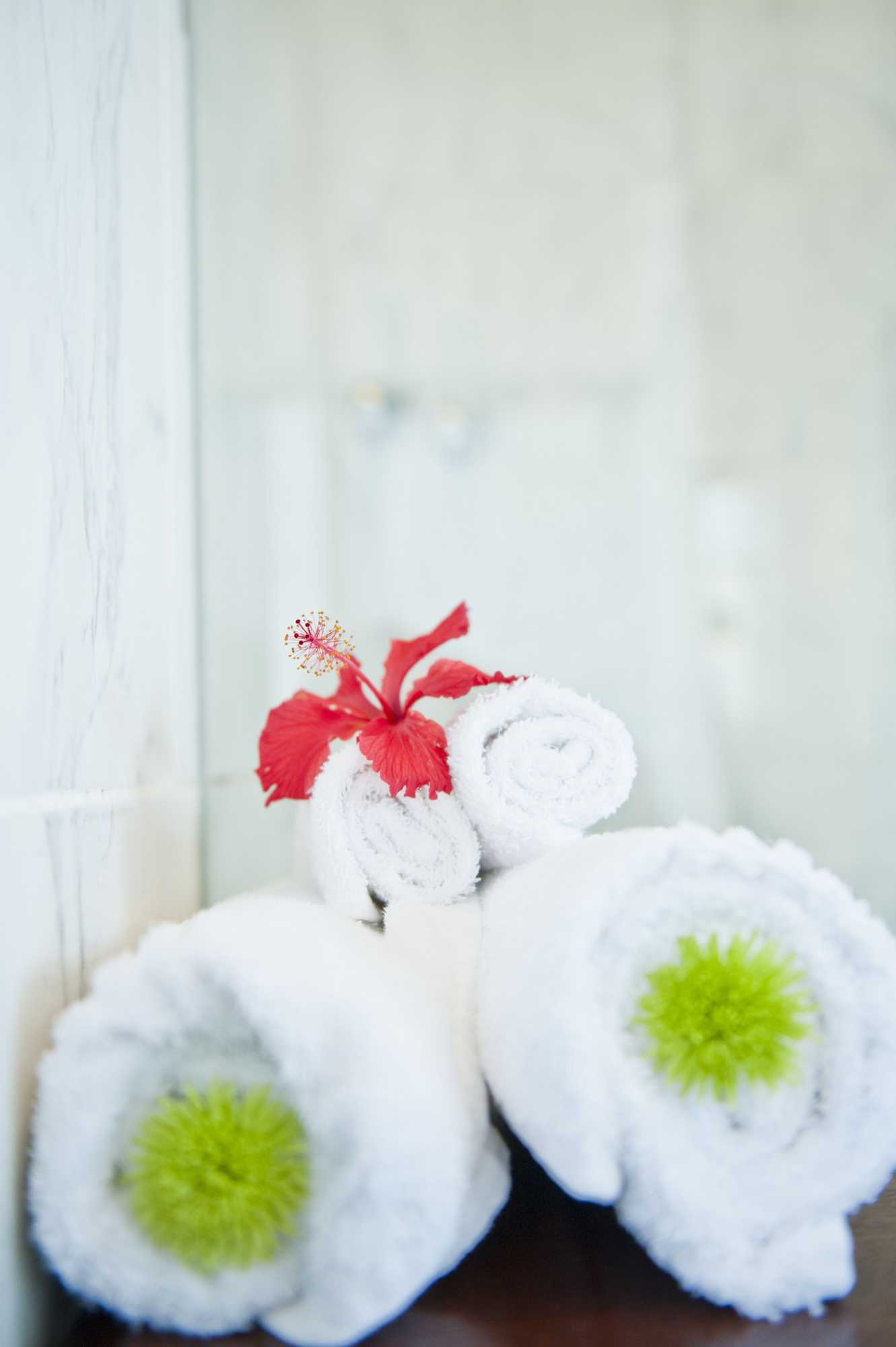 Gift card for The Saint James on Venice Luxury Guest House Gift card for The Saint James on Venice Luxury Guest House