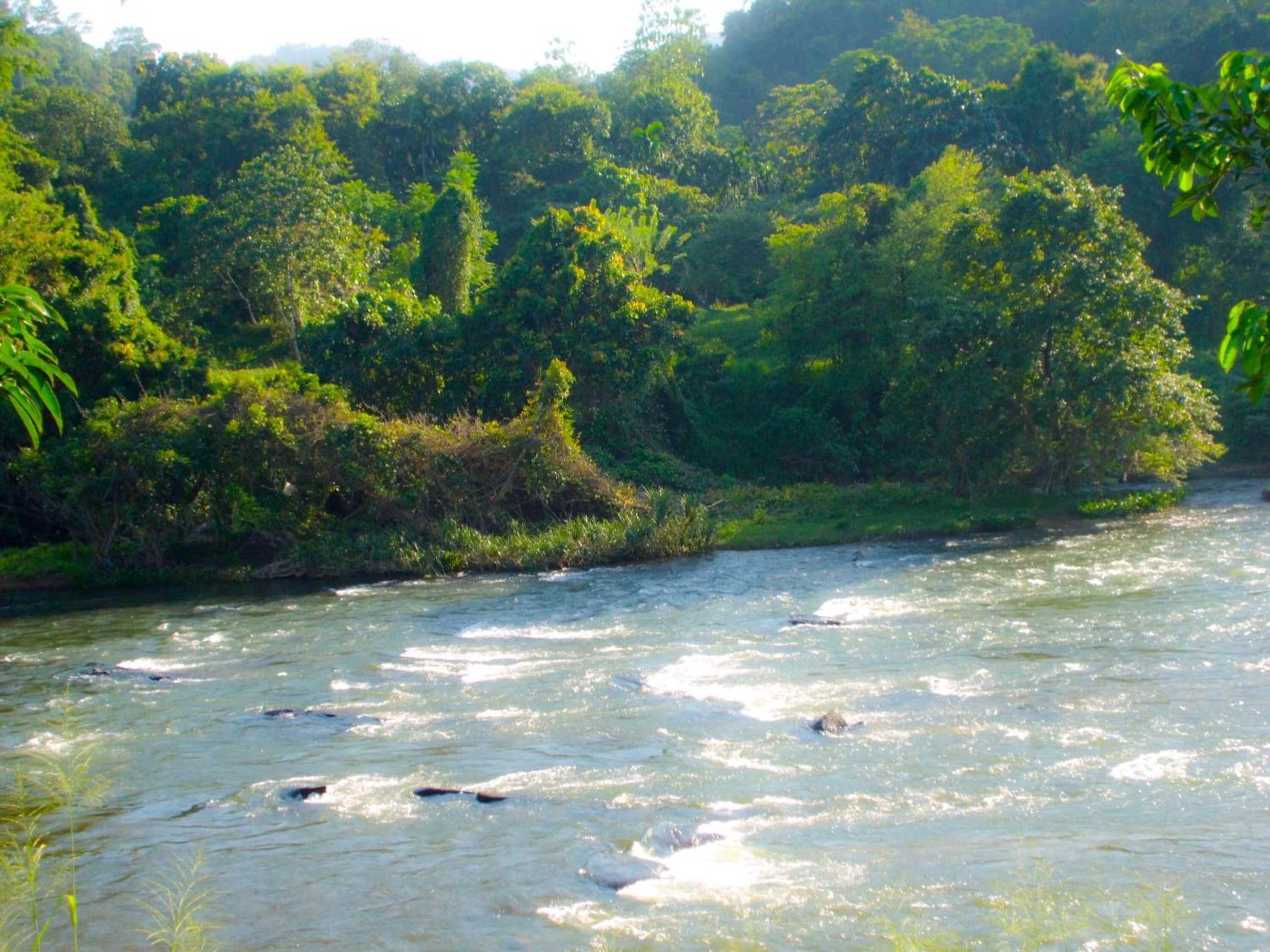 Gift card for Kitulgala Heritage Rest House Gift card for Kitulgala Heritage Rest House