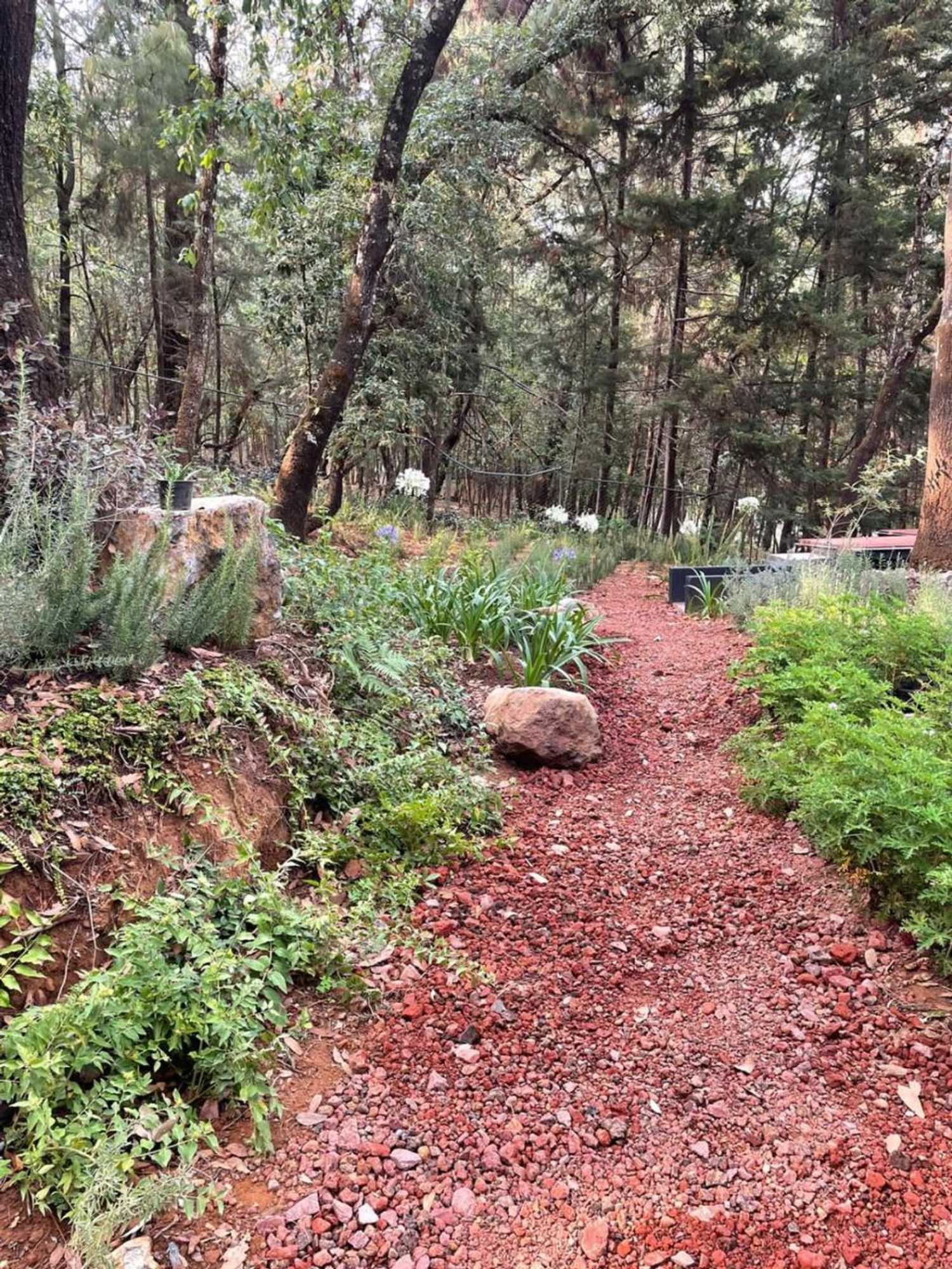 Gift card for Hotel Oxú Solo Adultos