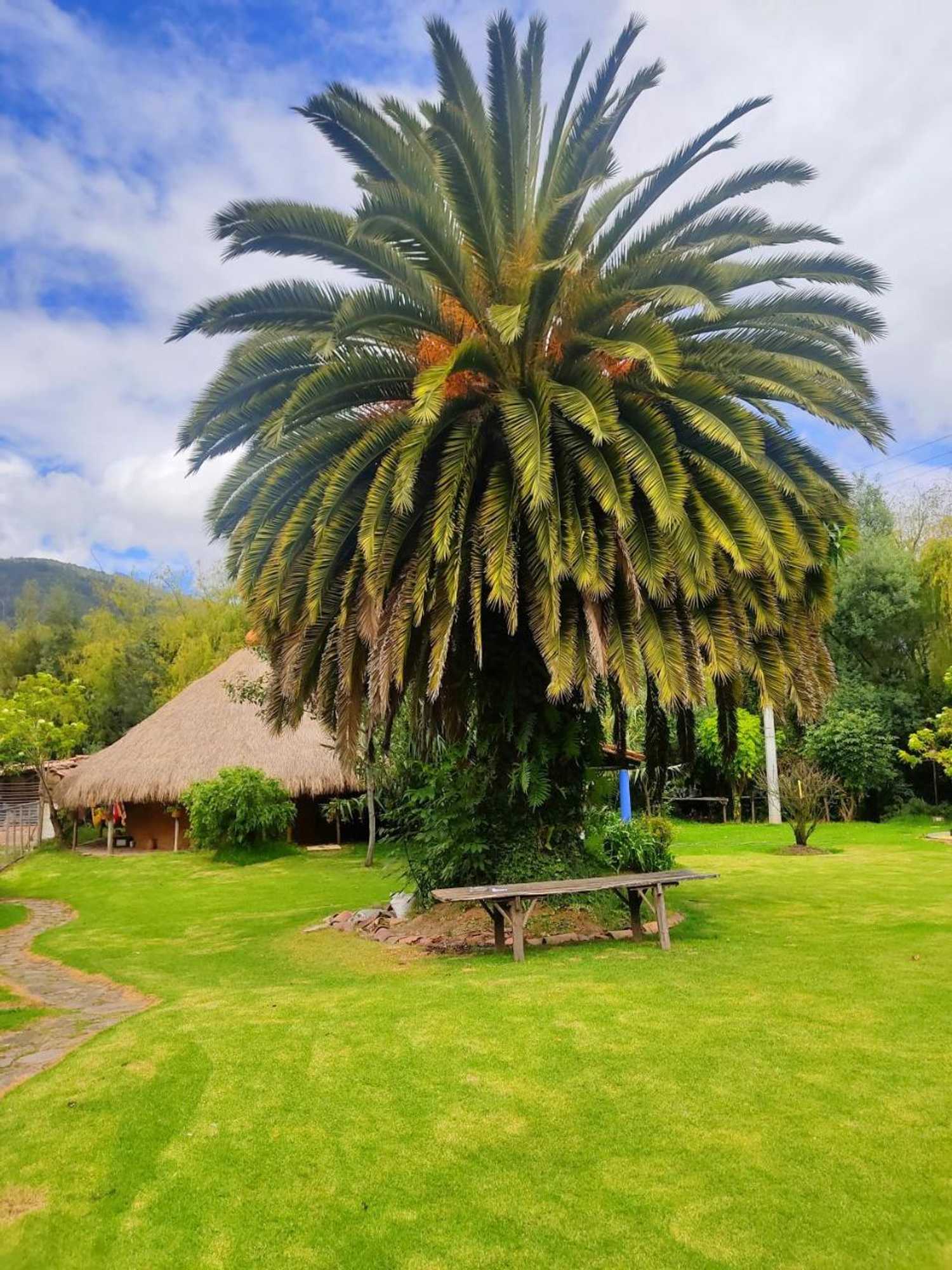 Gift card for Finca San Pedro -Alojamiento Campestre y Reserva Natural-