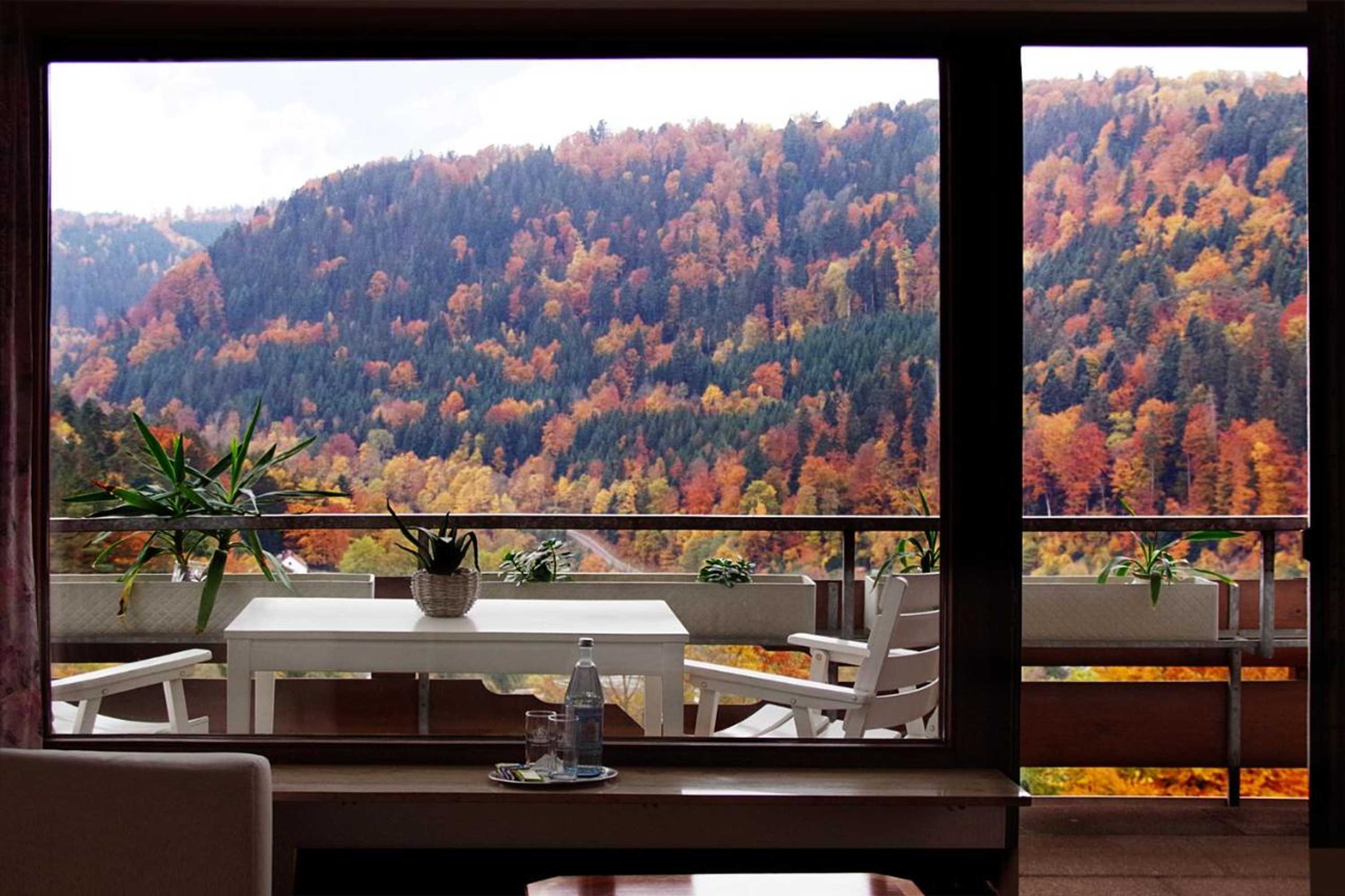 Gift card for Waldhotel Post