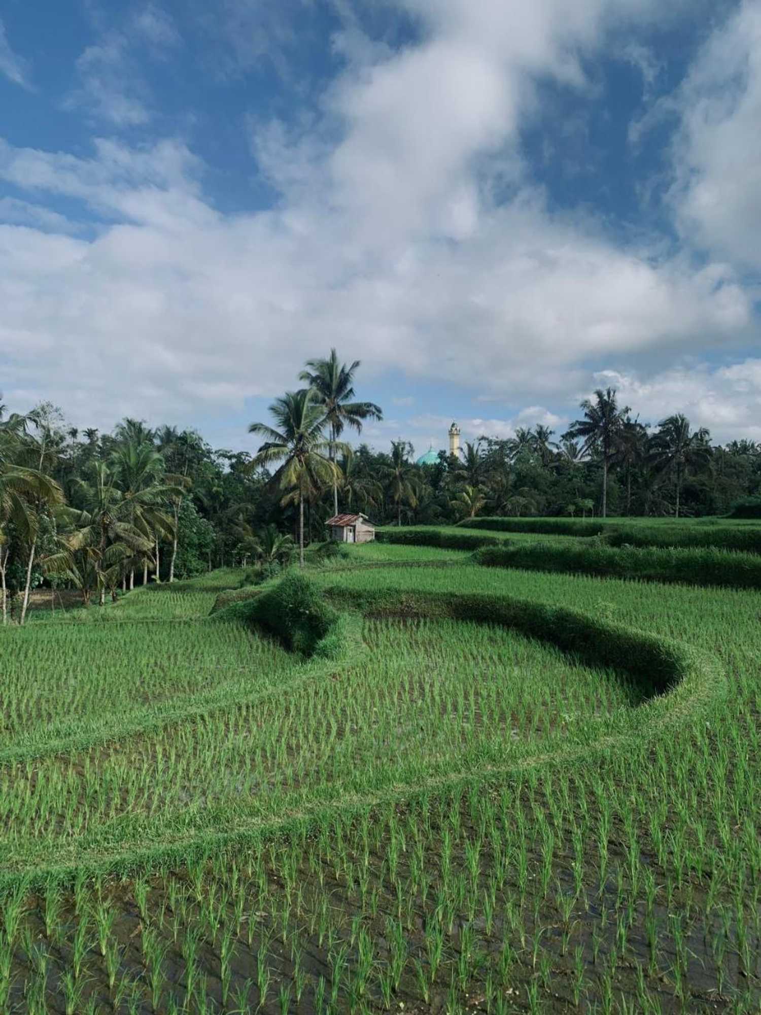 Gift card for Farmer Homestay