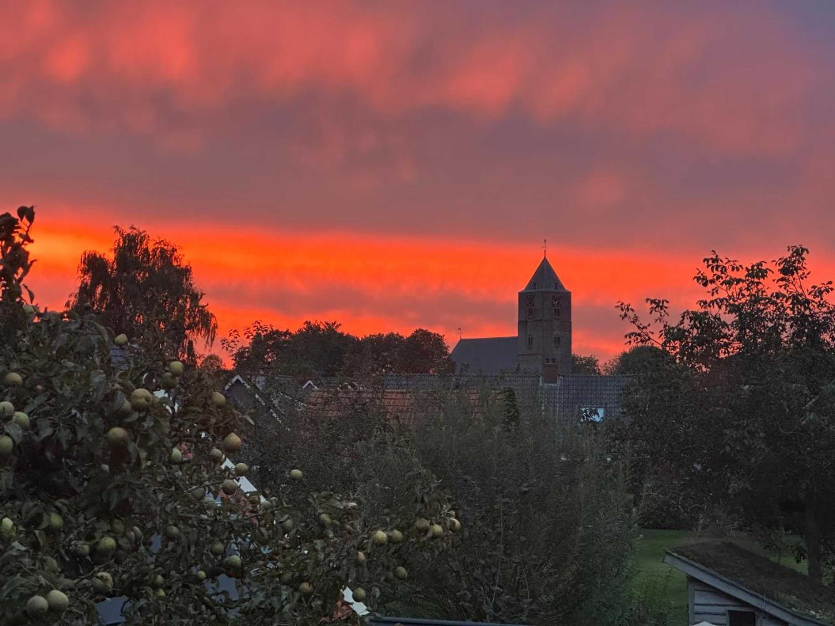 Gift card for Zalk Blijven Slapen