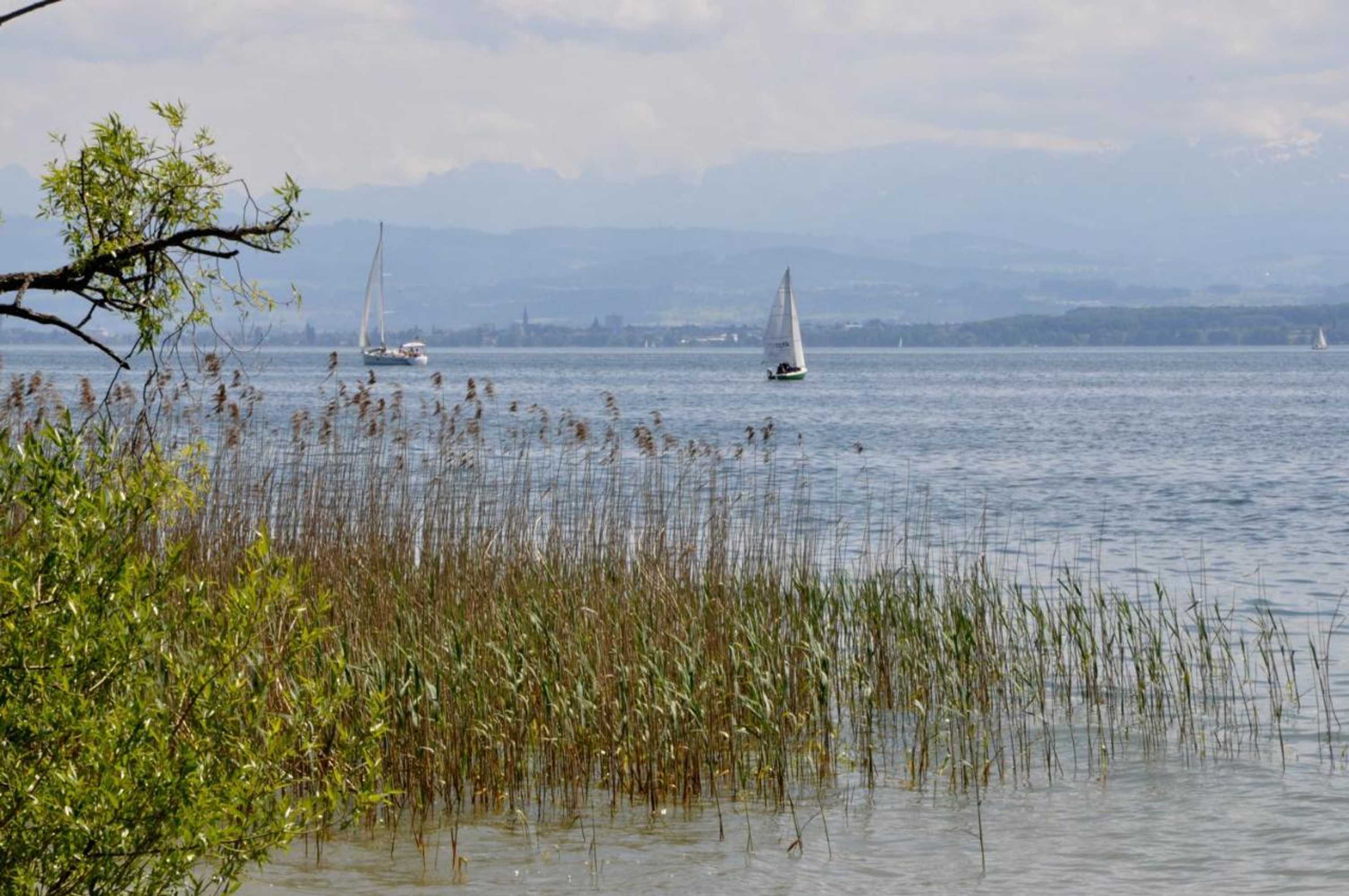 Gift card for Appartementhotel Röhrenbach