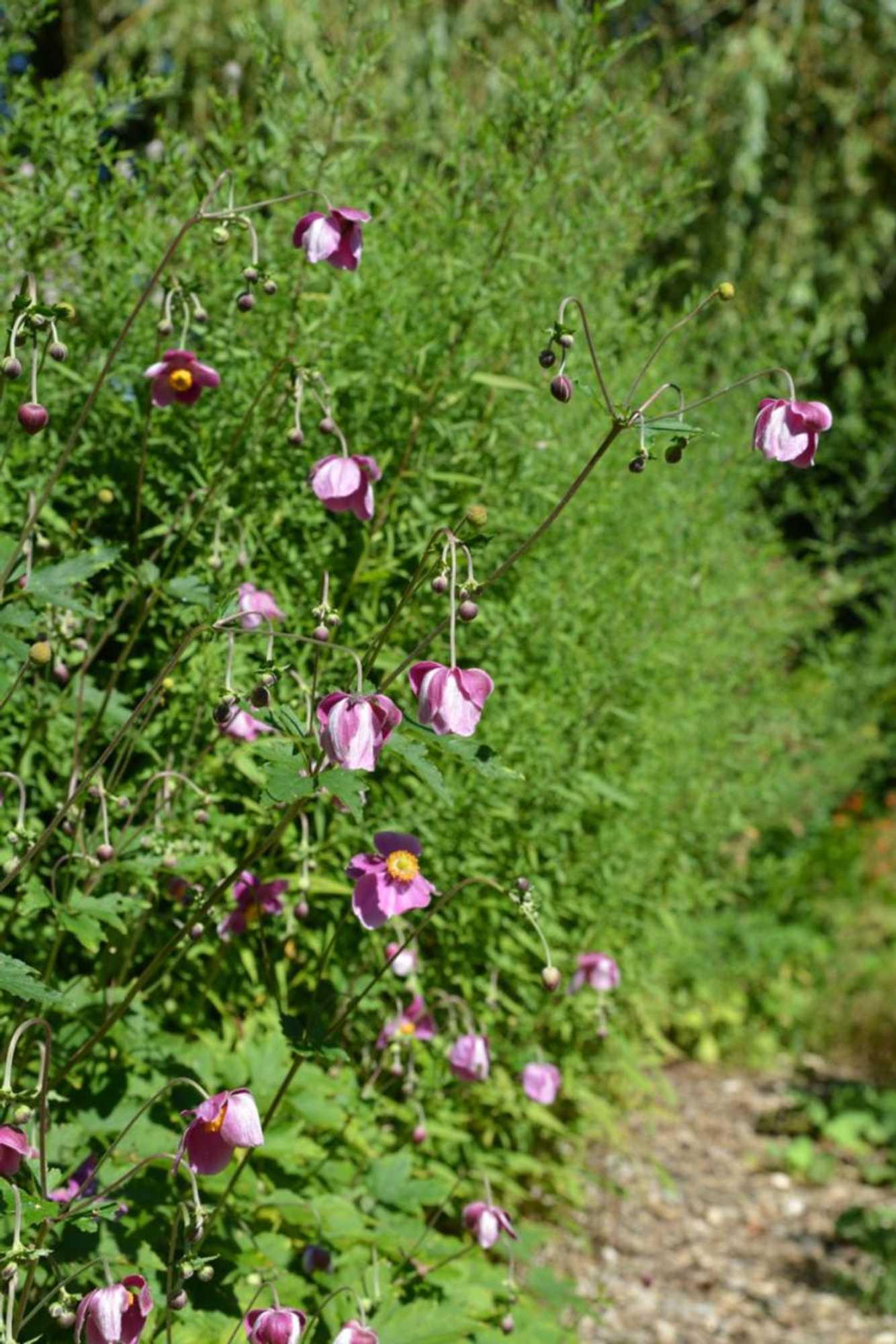 Gift card for Gastenverblijf 't Oelengoor