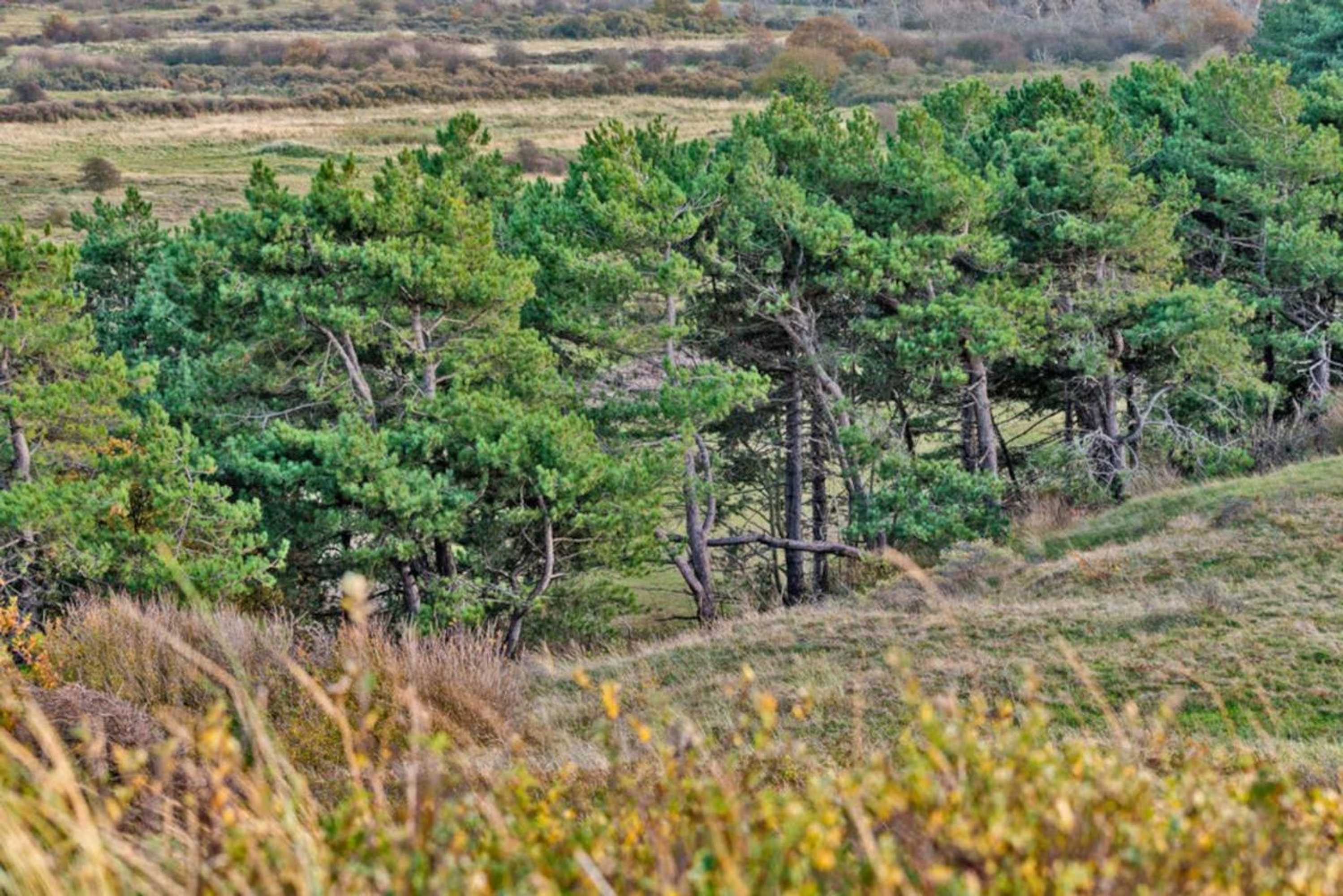 Gift card for Villa Prinsenhof # Eén