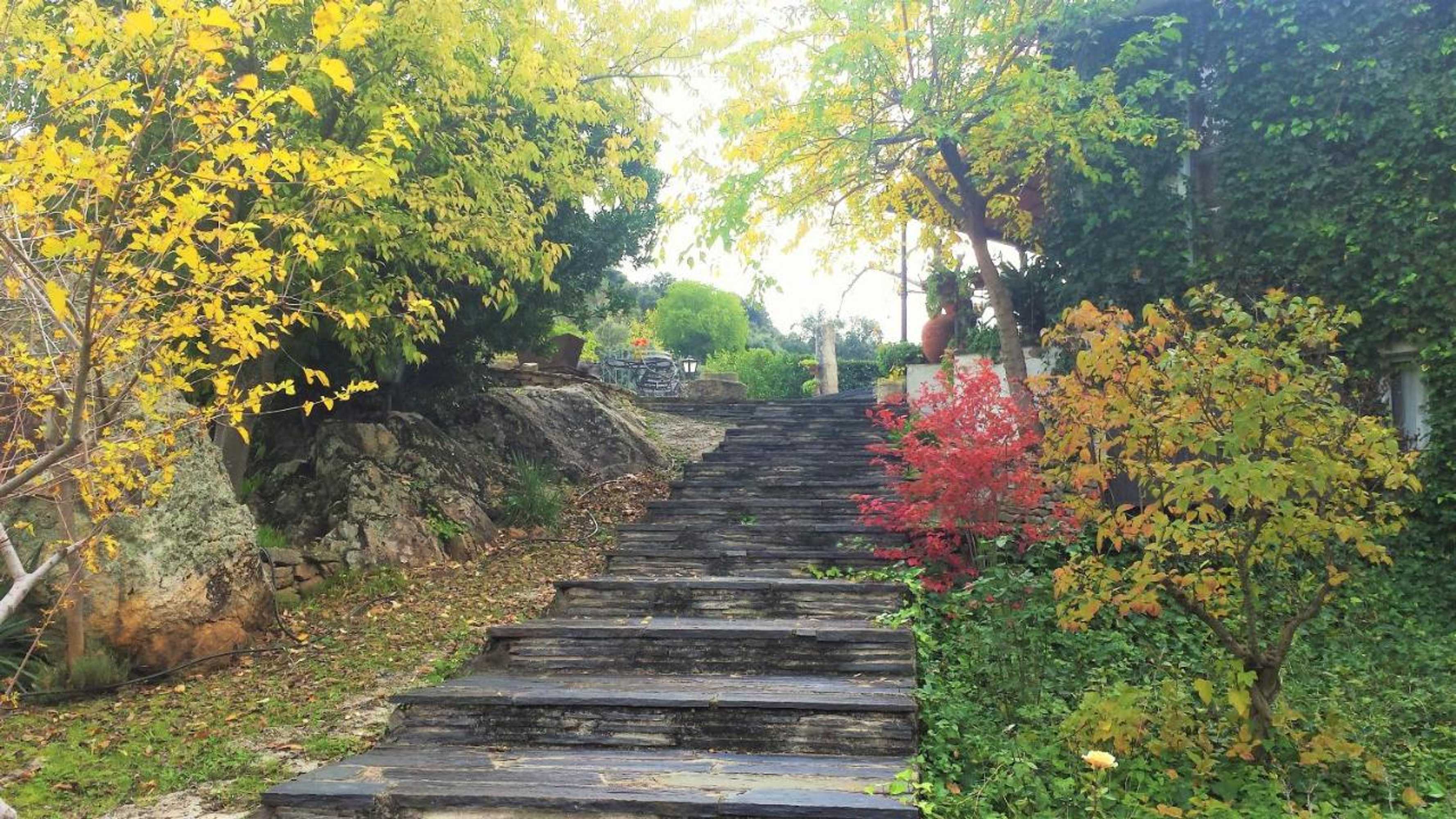 Gift card for Posada Real Quinta de la Concepción