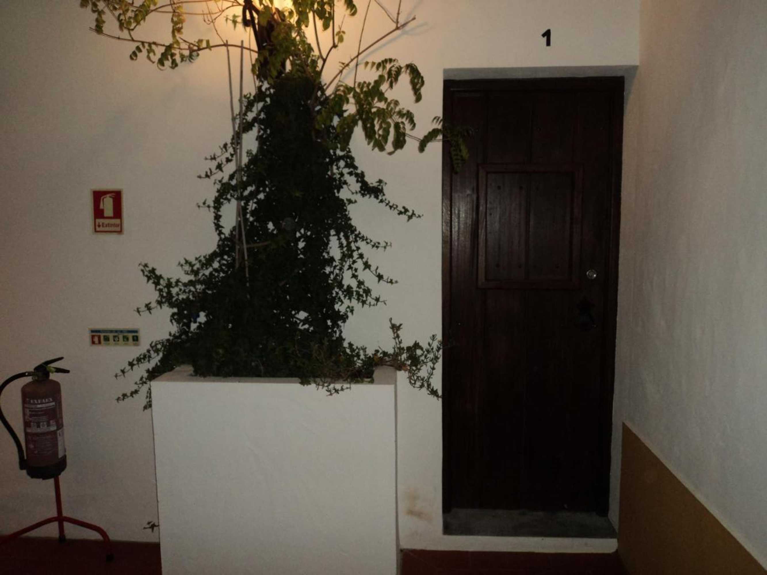 Gift card for Alojamento Pero Rodrigues