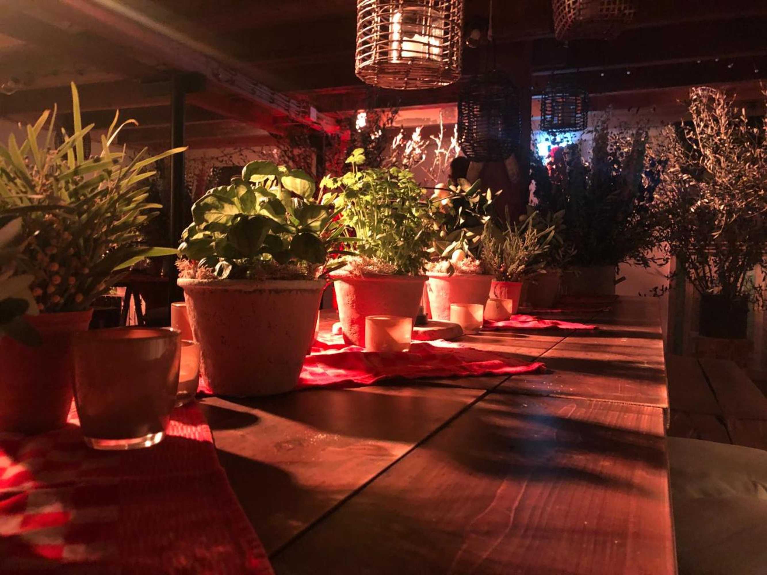 Gift card for Vakantie Appartementen De Bonte Kraai