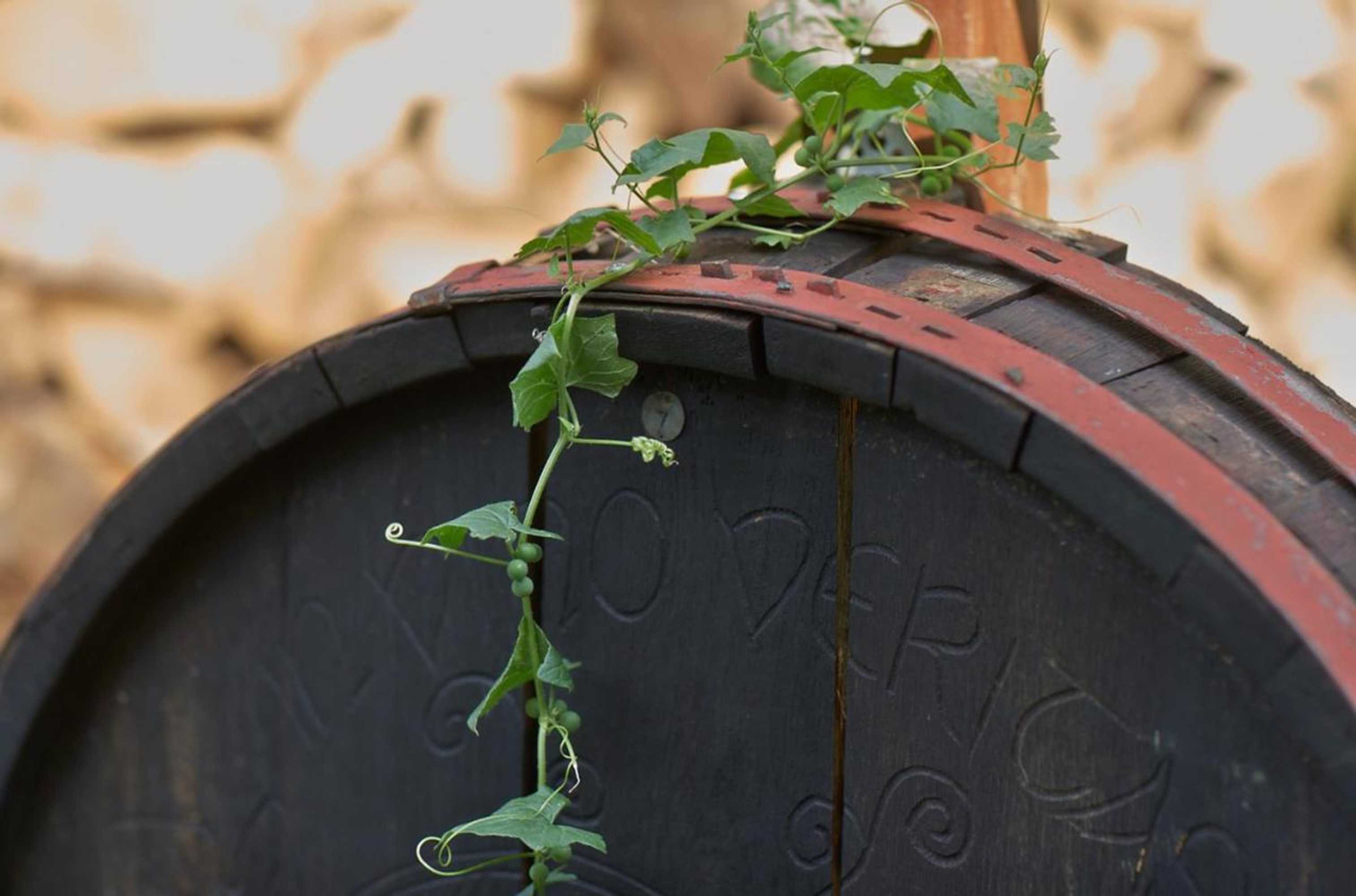 Gift card for Maischeider Hof