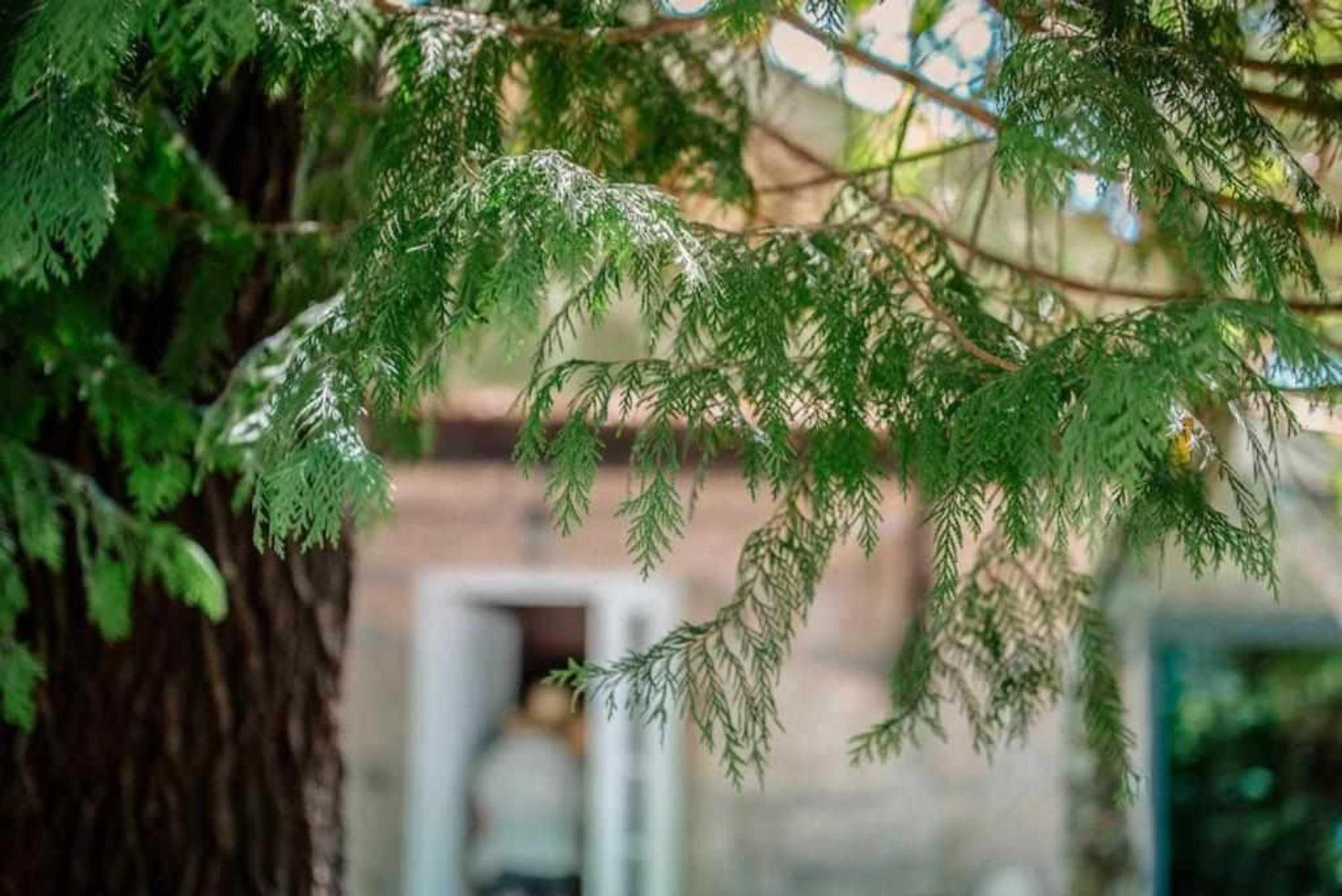 Gift card for Quinta Vale de Frades