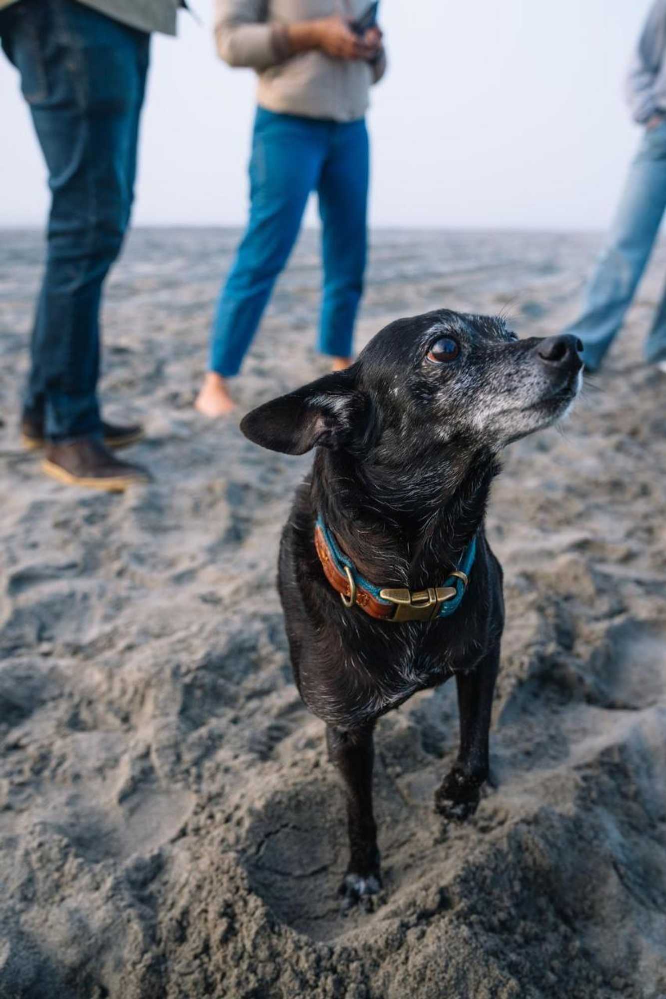 Gift card for Salt Hotel