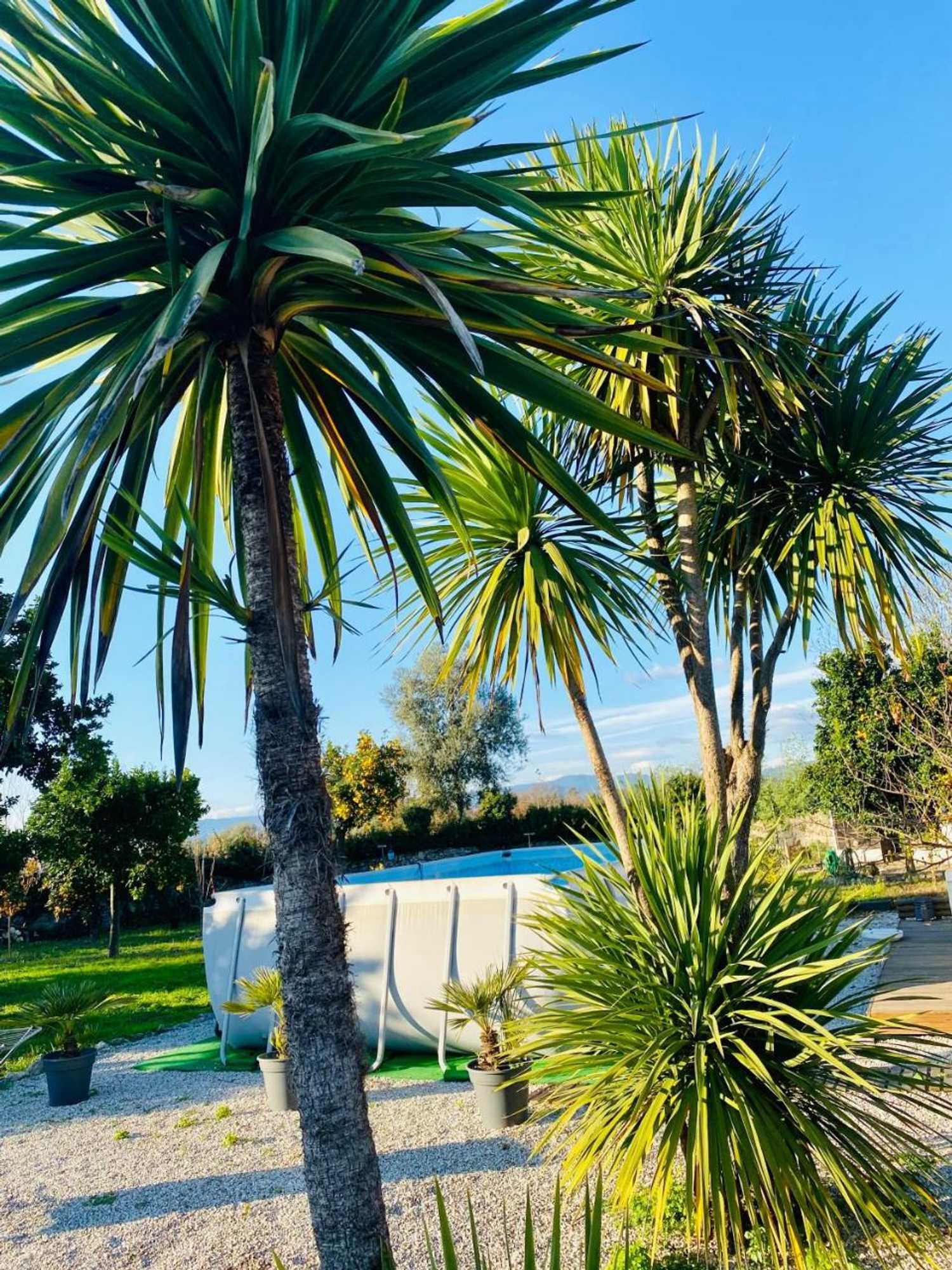 Gift card for Quinta de Areias