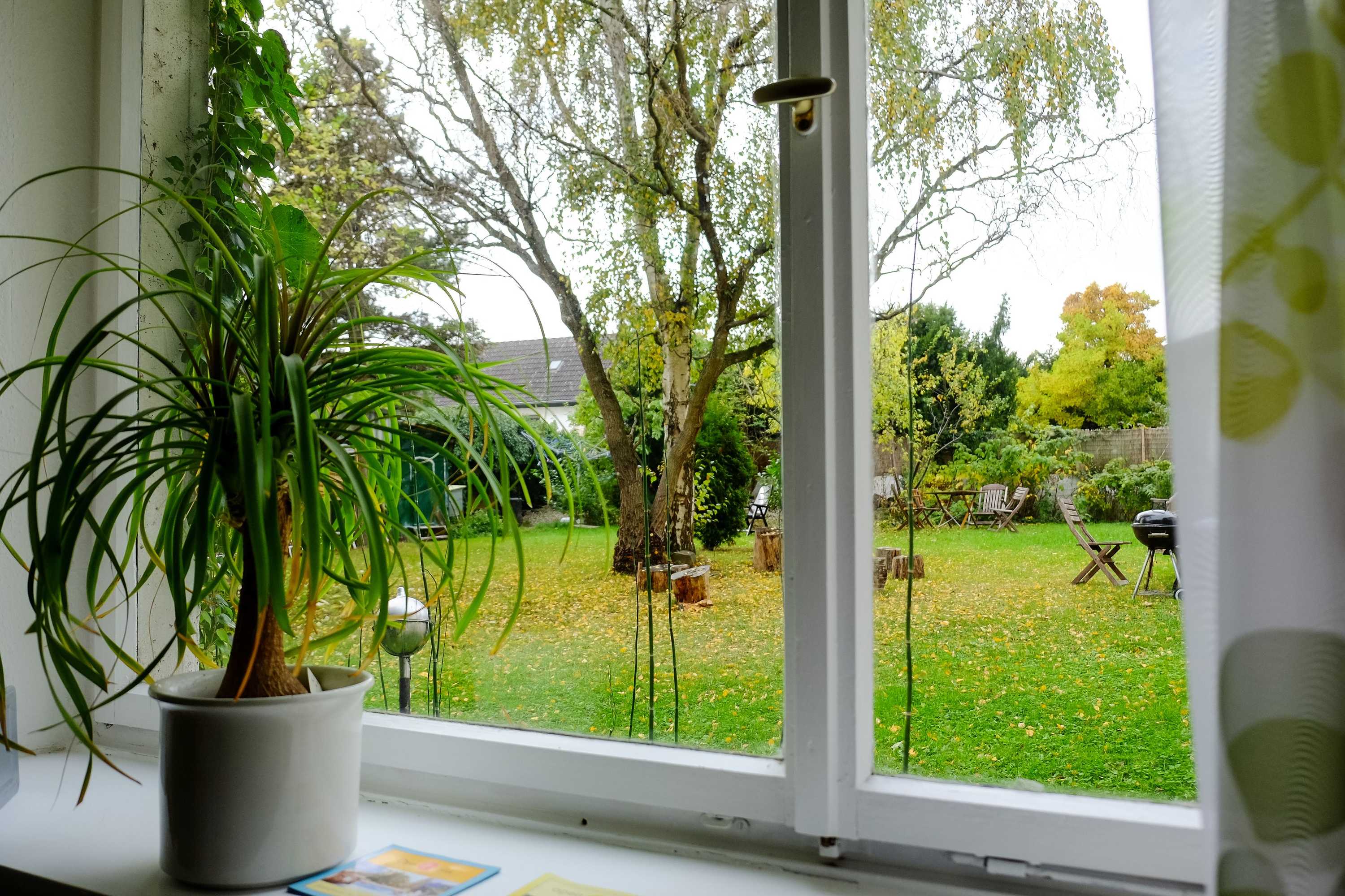 Gift card for Rhein River Guesthouse - Direkt am Rhein Gift card for Rhein River Guesthouse - Direkt am Rhein