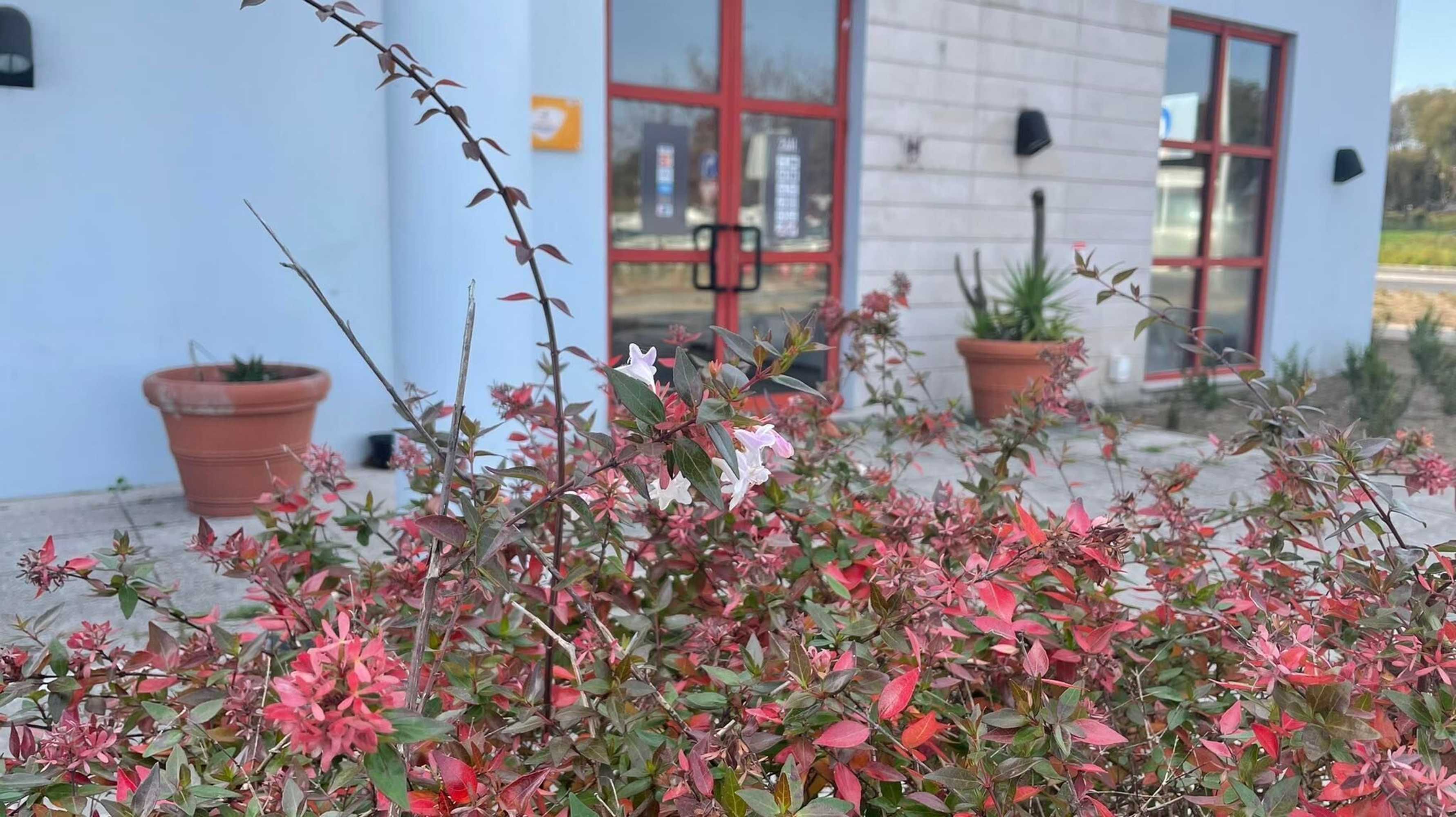 Gift card for Flag Hotel Porto Maia Gift card for Flag Hotel Porto Maia