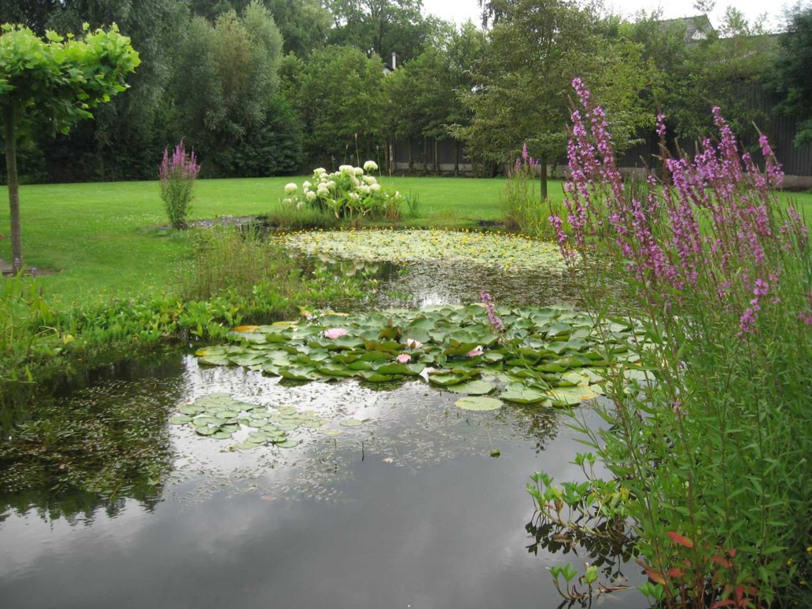 Gift card for B&b Oostzomerland