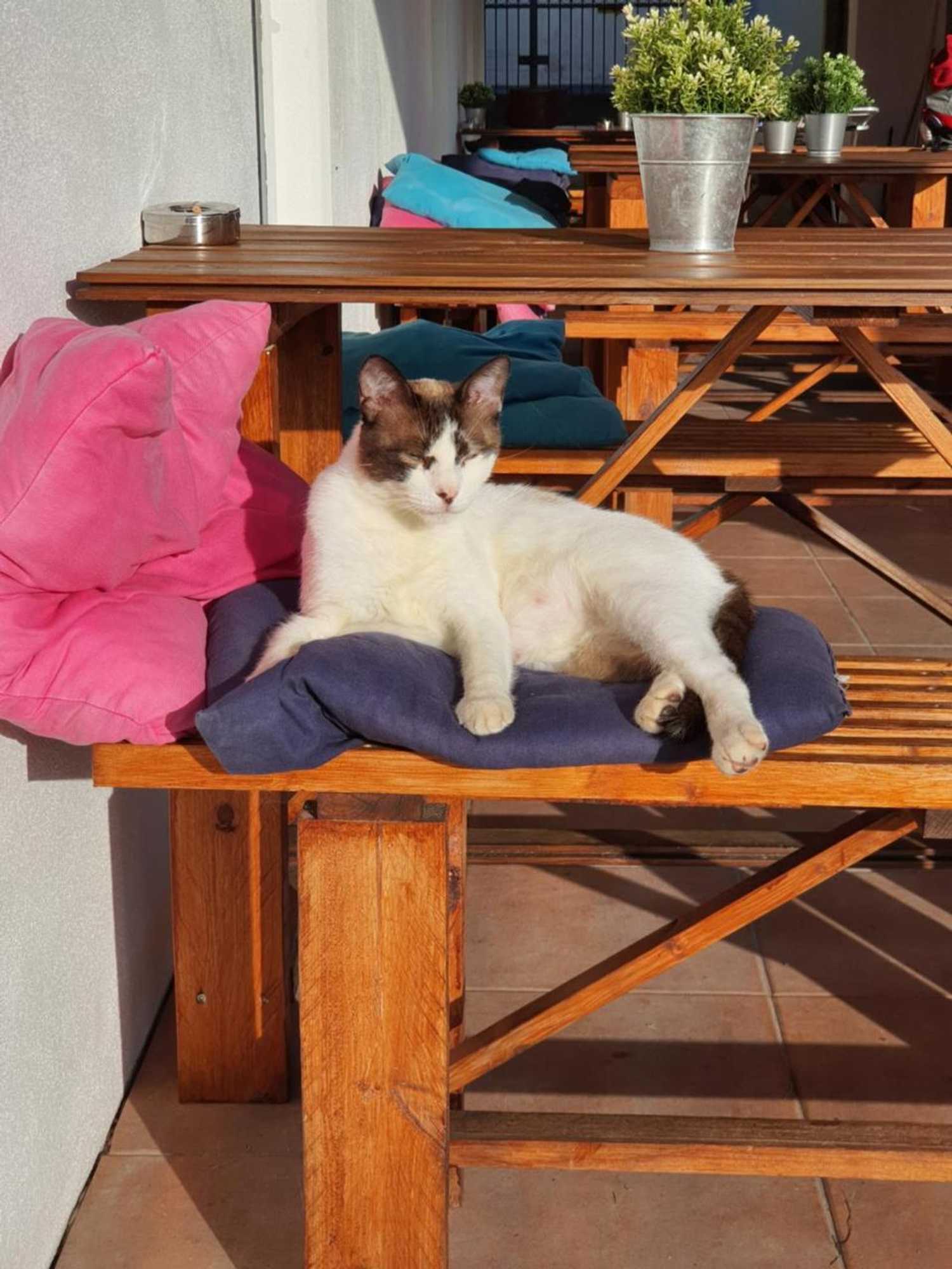 Gift card for Alvorada Medieval, AL