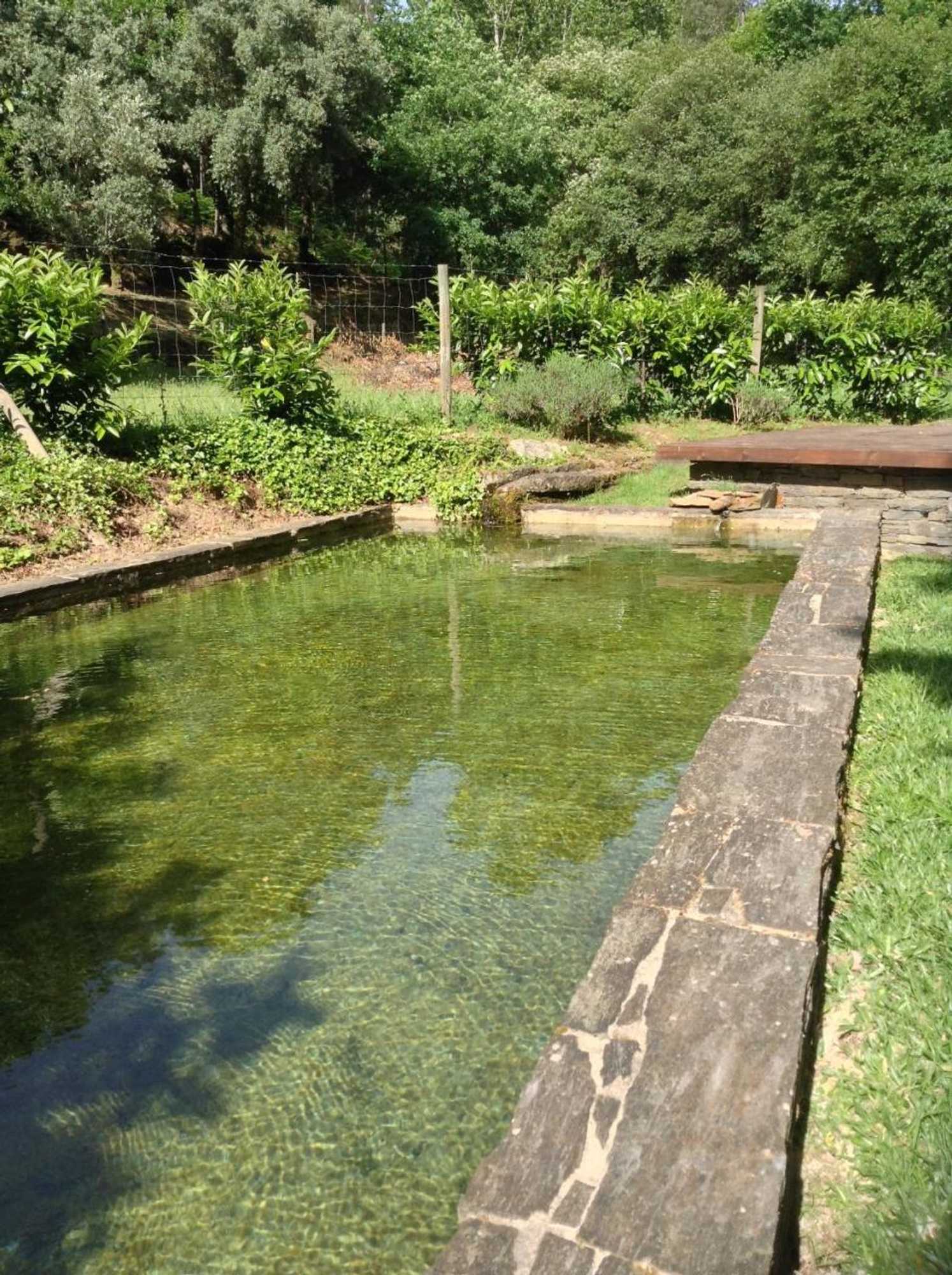 Gift card for Saberamar Little Country