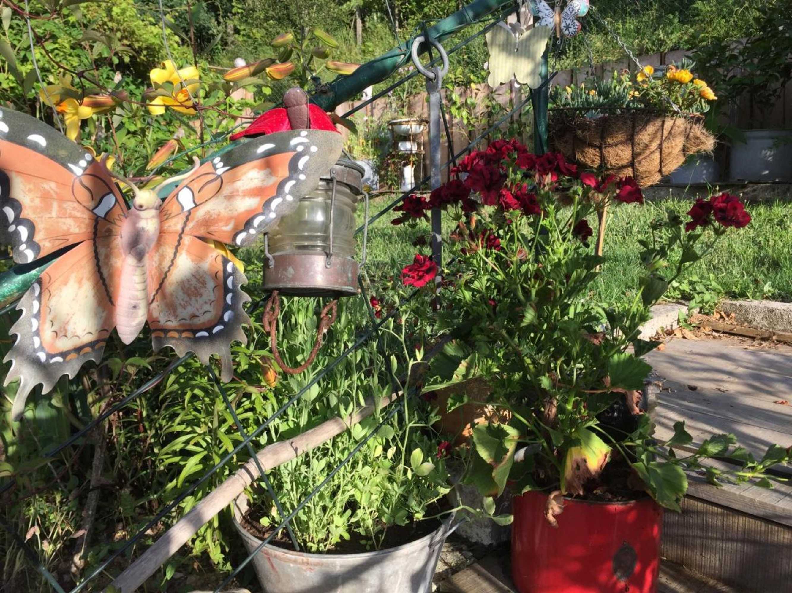 Gift card for Casa Traca