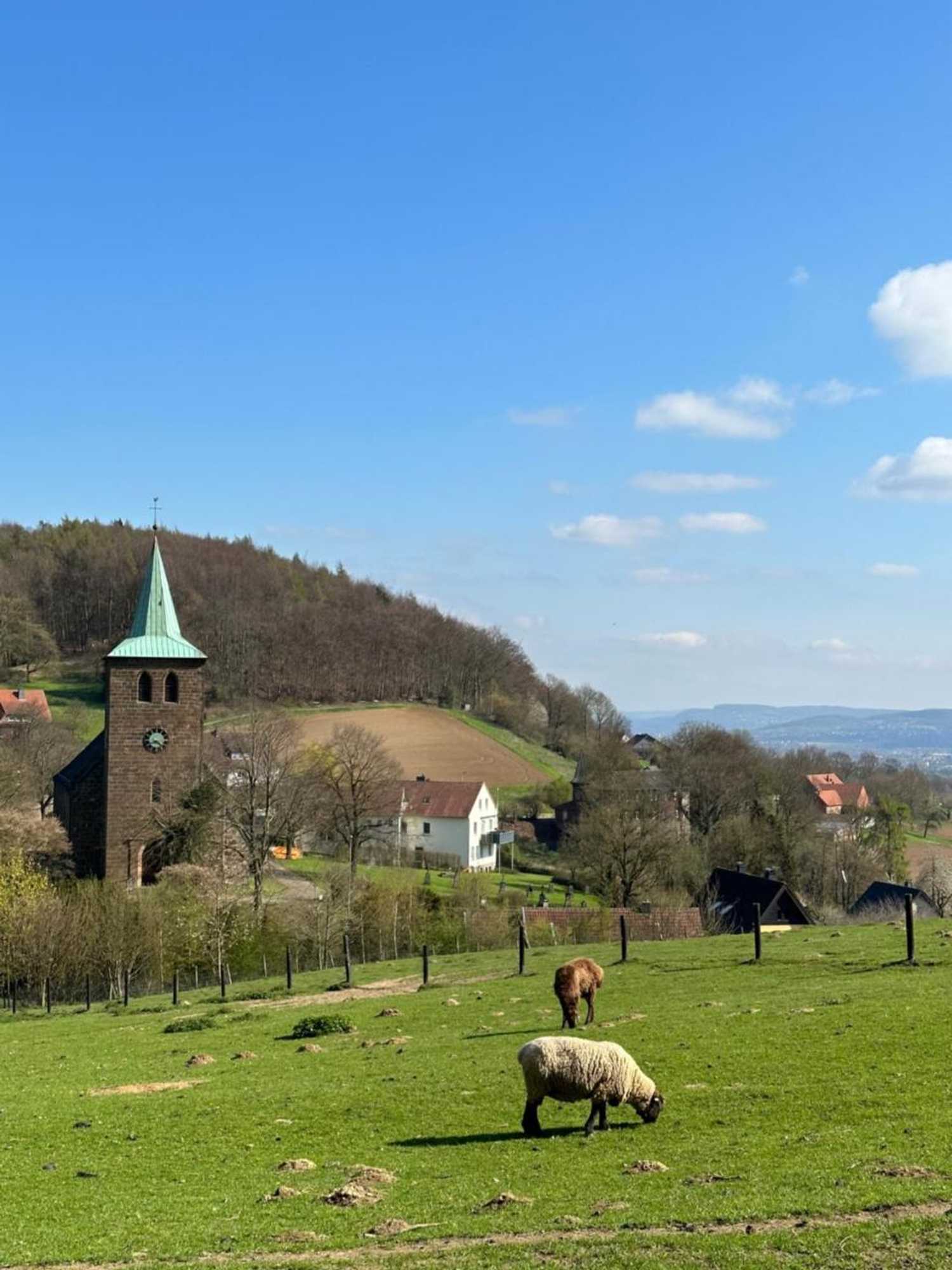 Gift card for Hotel & Restaurant Wittekindsquelle