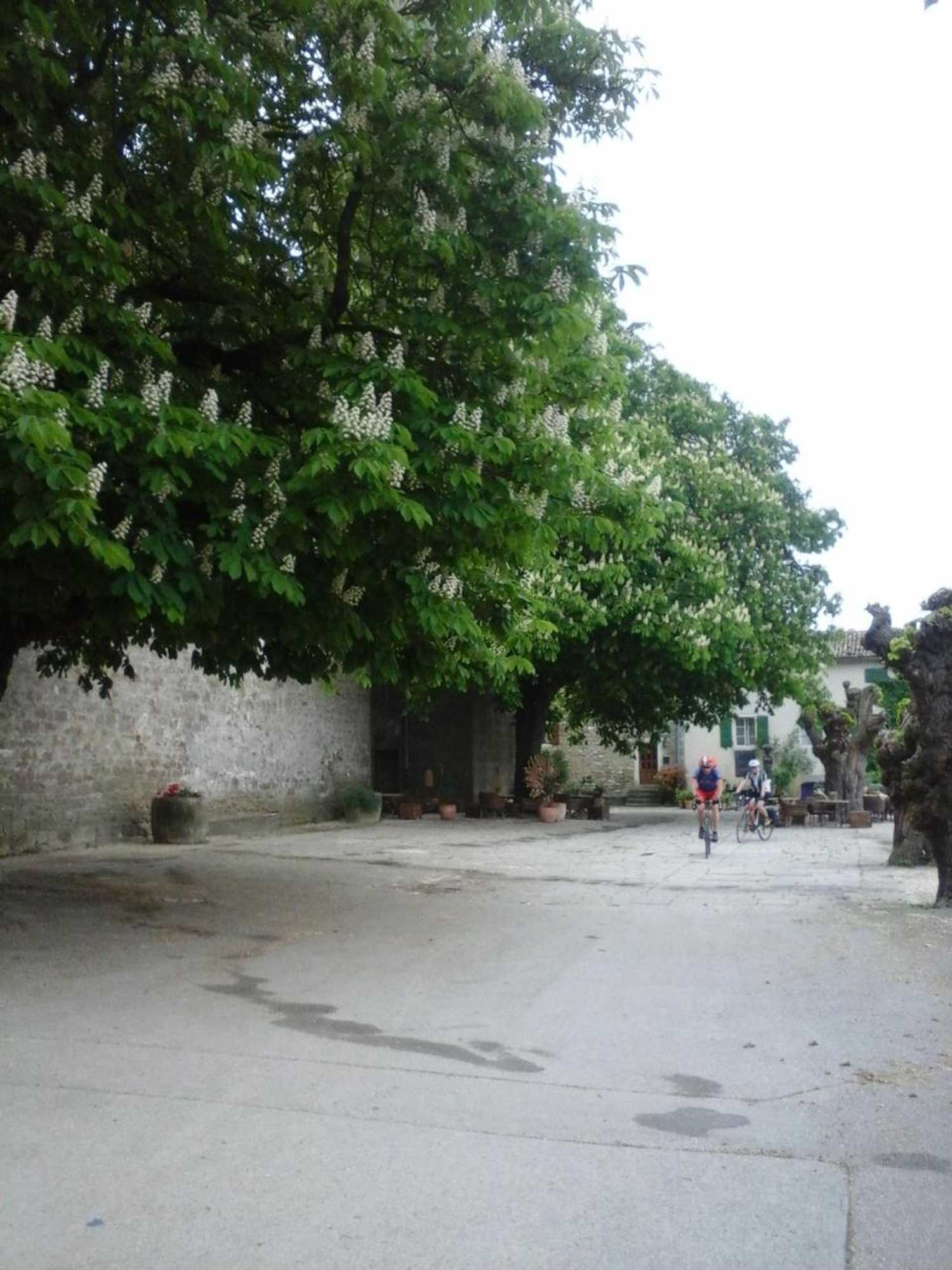 Gift card for Rooms Svalina