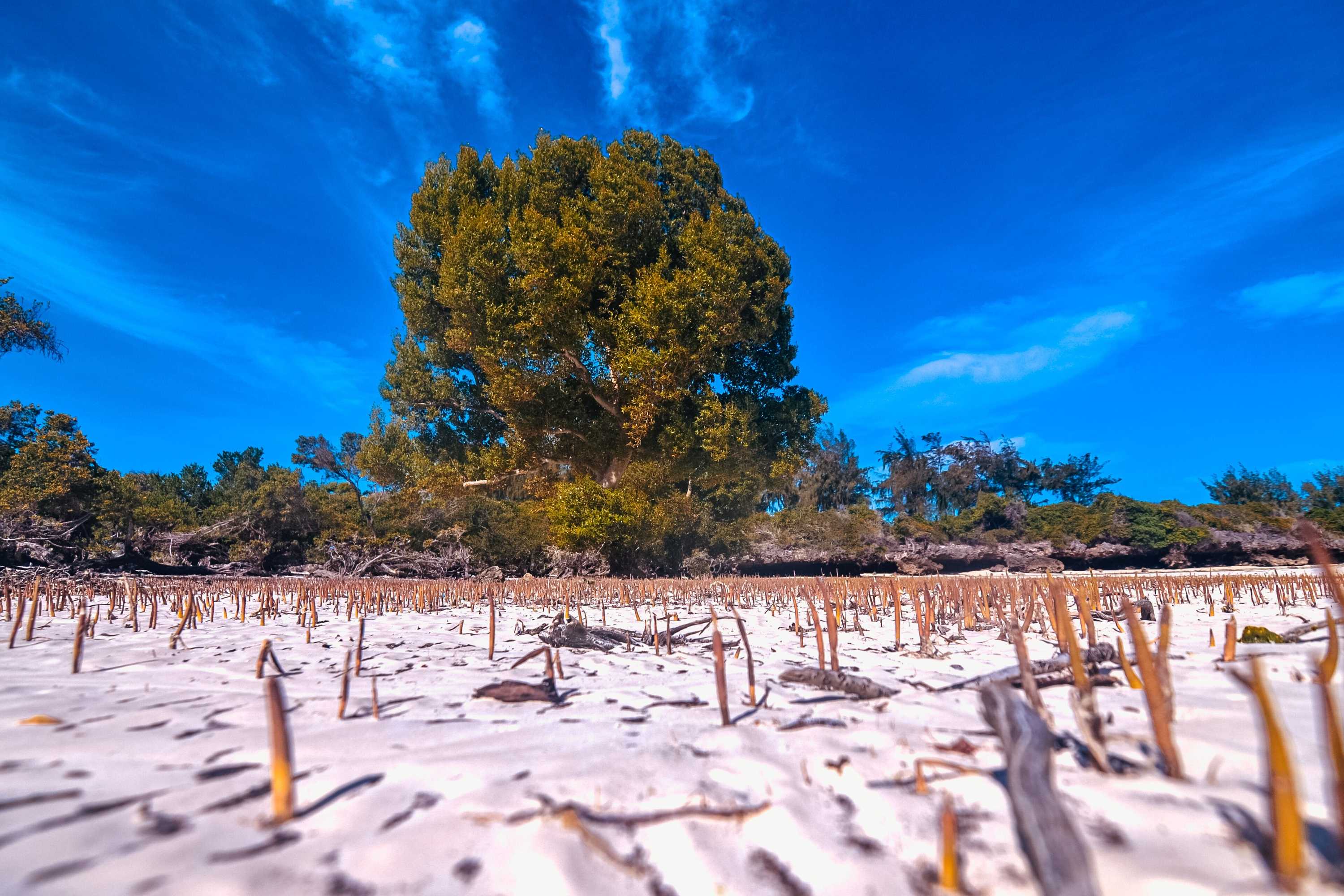 Gift card for Pemba Eco Lodge