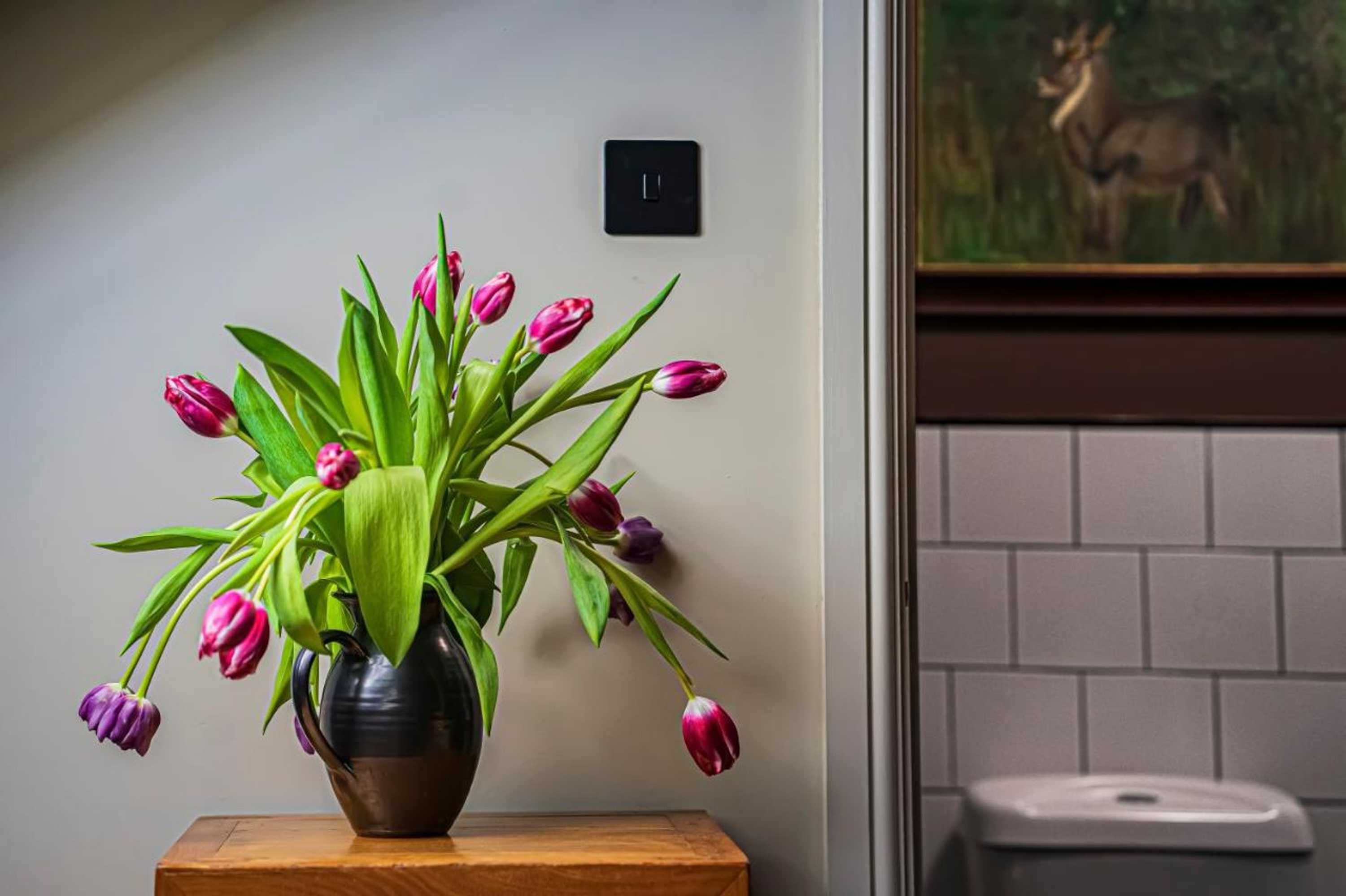 Gift card for Bohotel