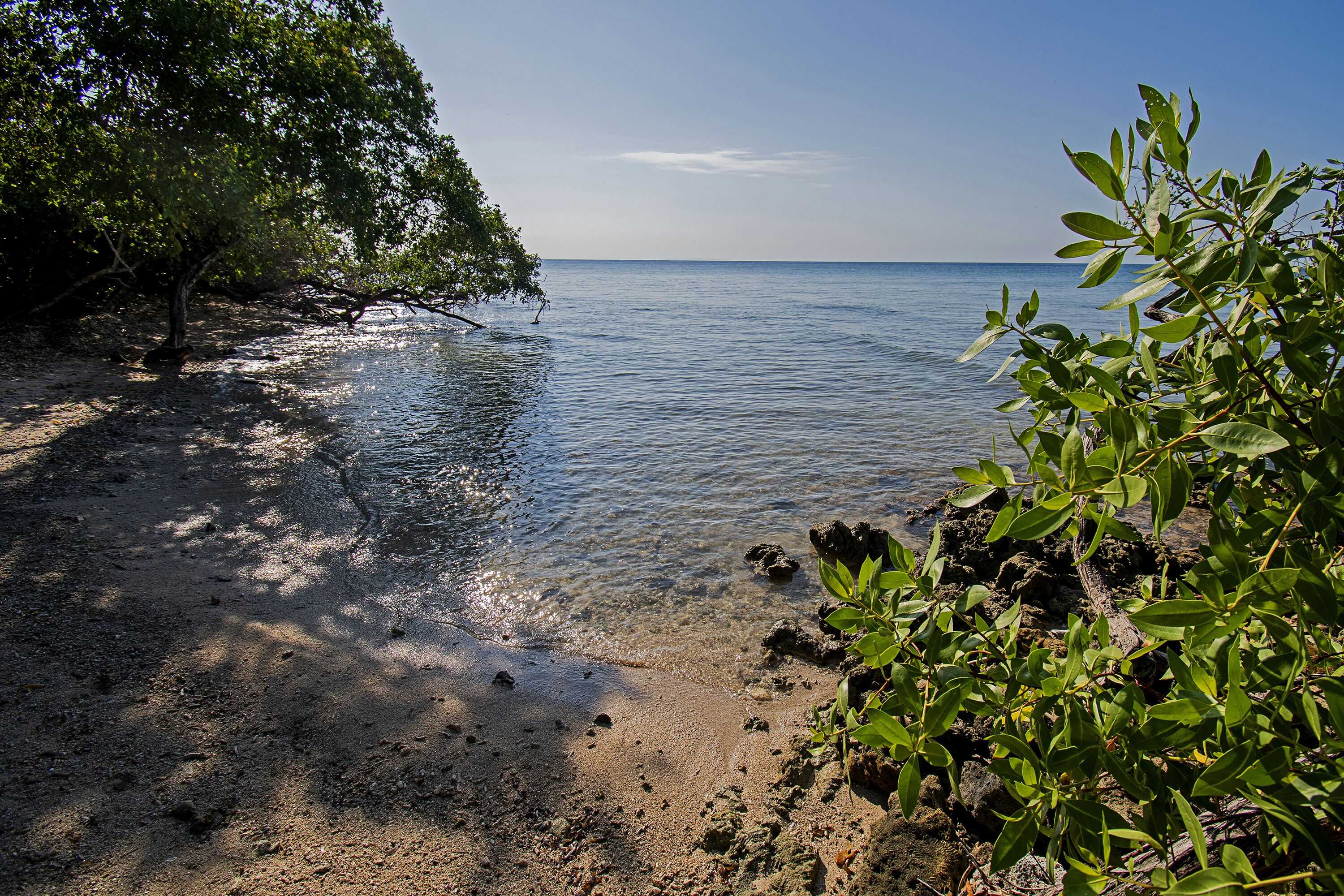 Gift card for Isla Tijereto