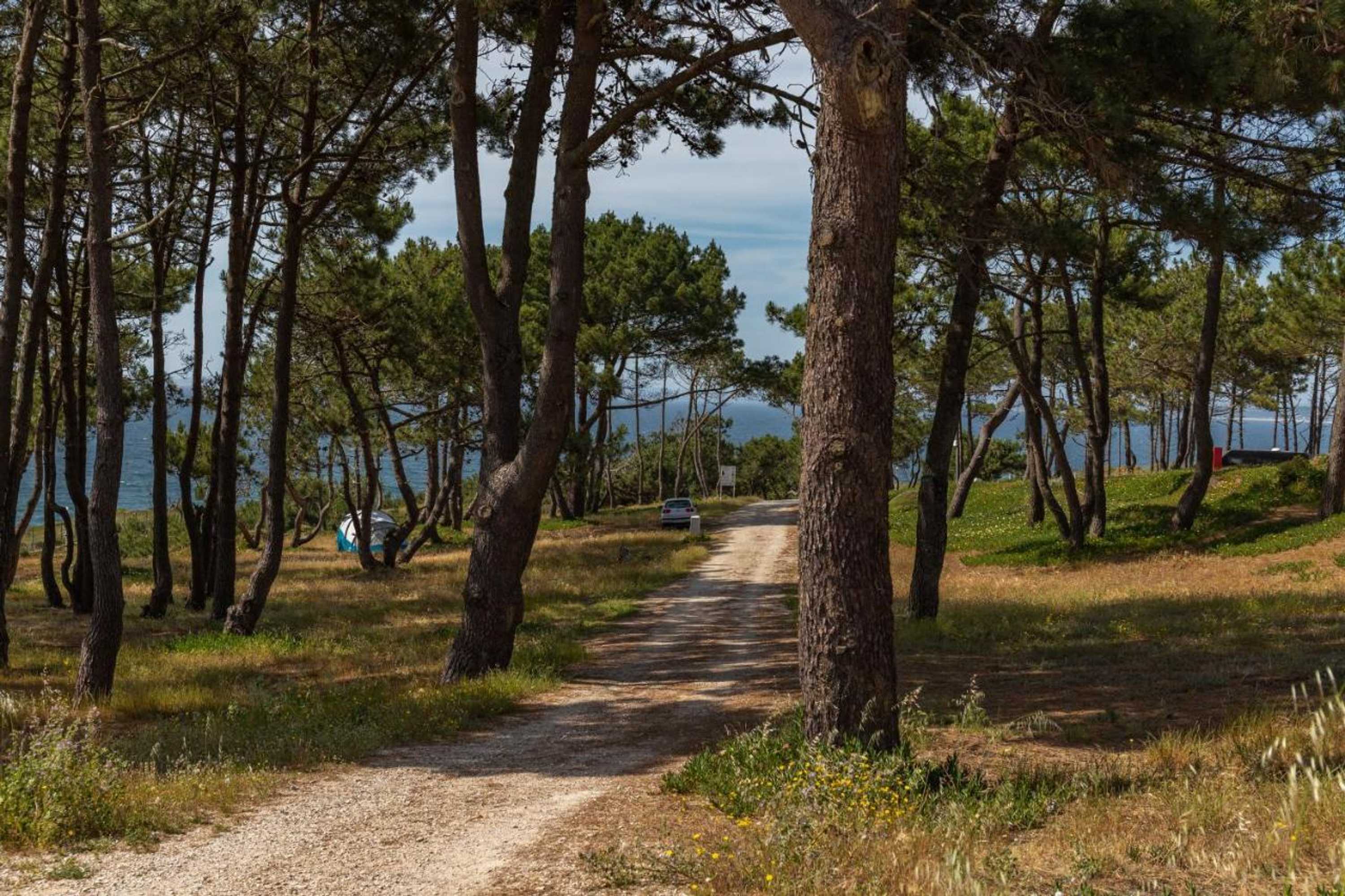 Gift card for Campimeco by Campigir